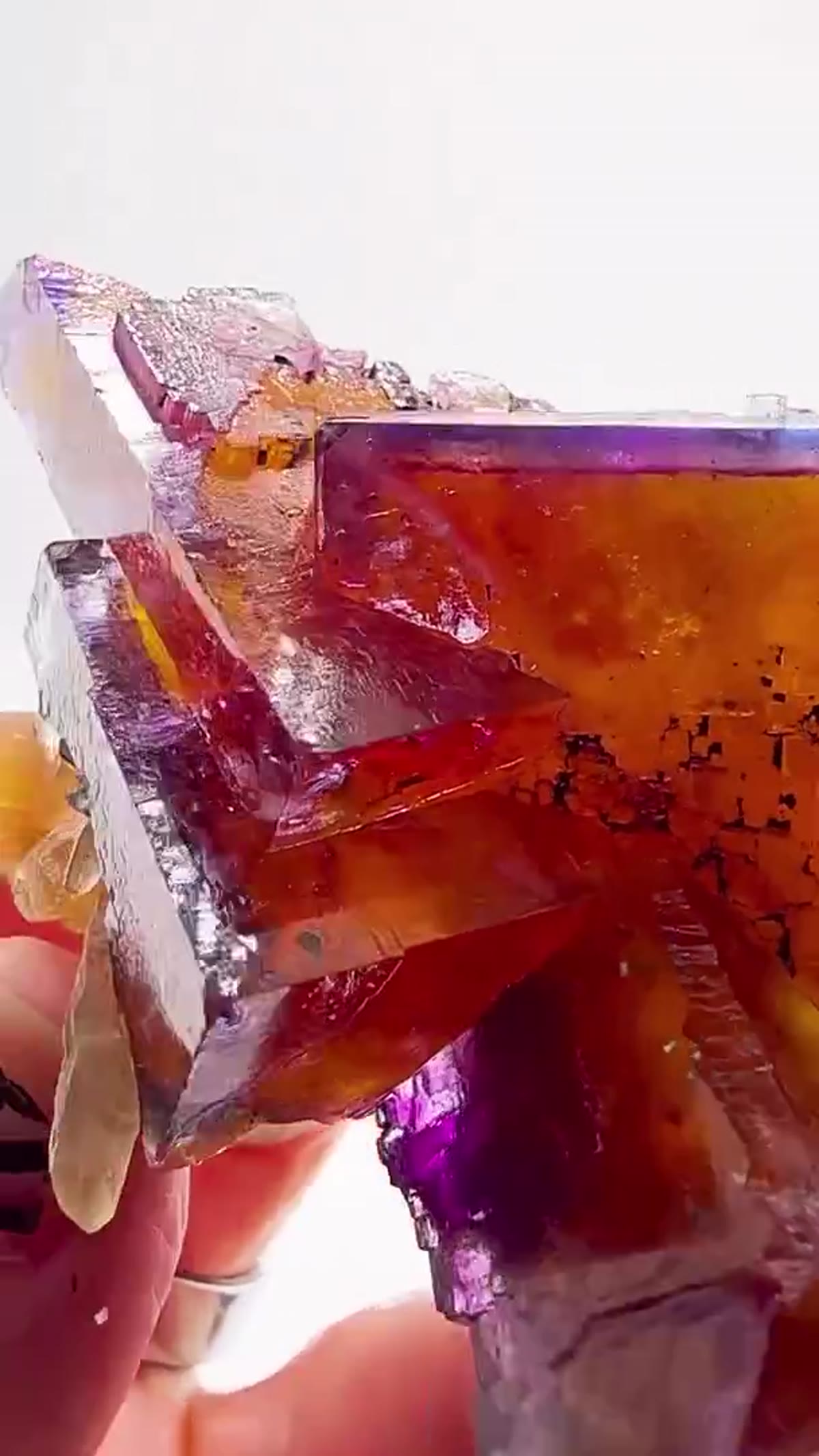 Fluorite Specimen from Minerva No. 1 Mine, Illinois: Tri-Color Minerva Madness - view 2