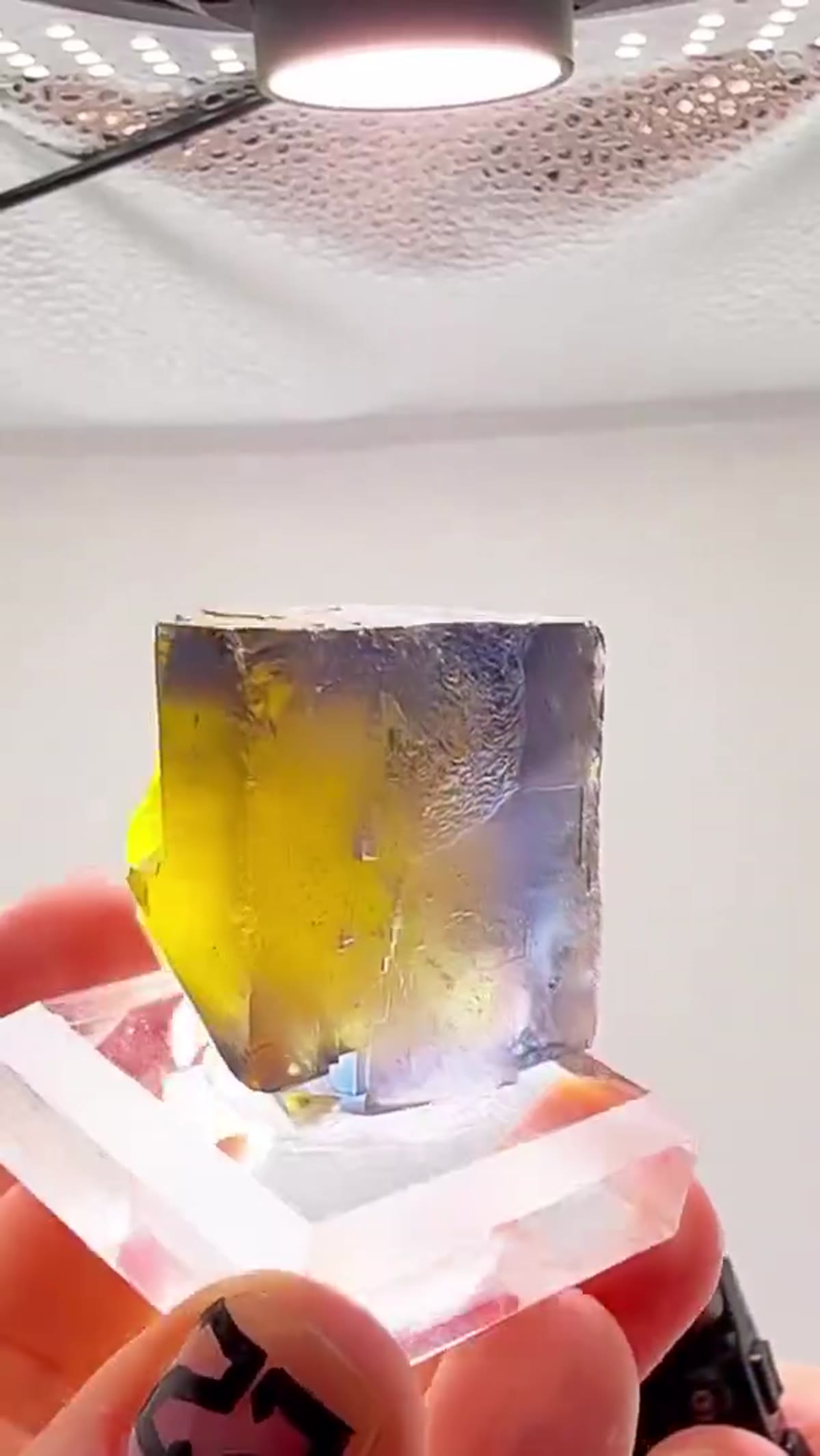 Fluorite Specimen: French Fluorite Perfection - view 3