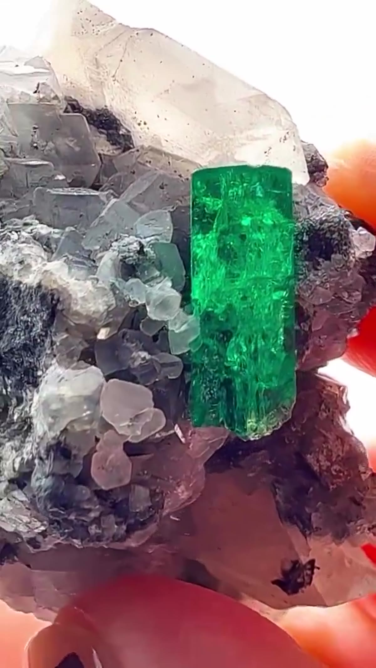 Emerald Specimen, 206.66 ct - view 2