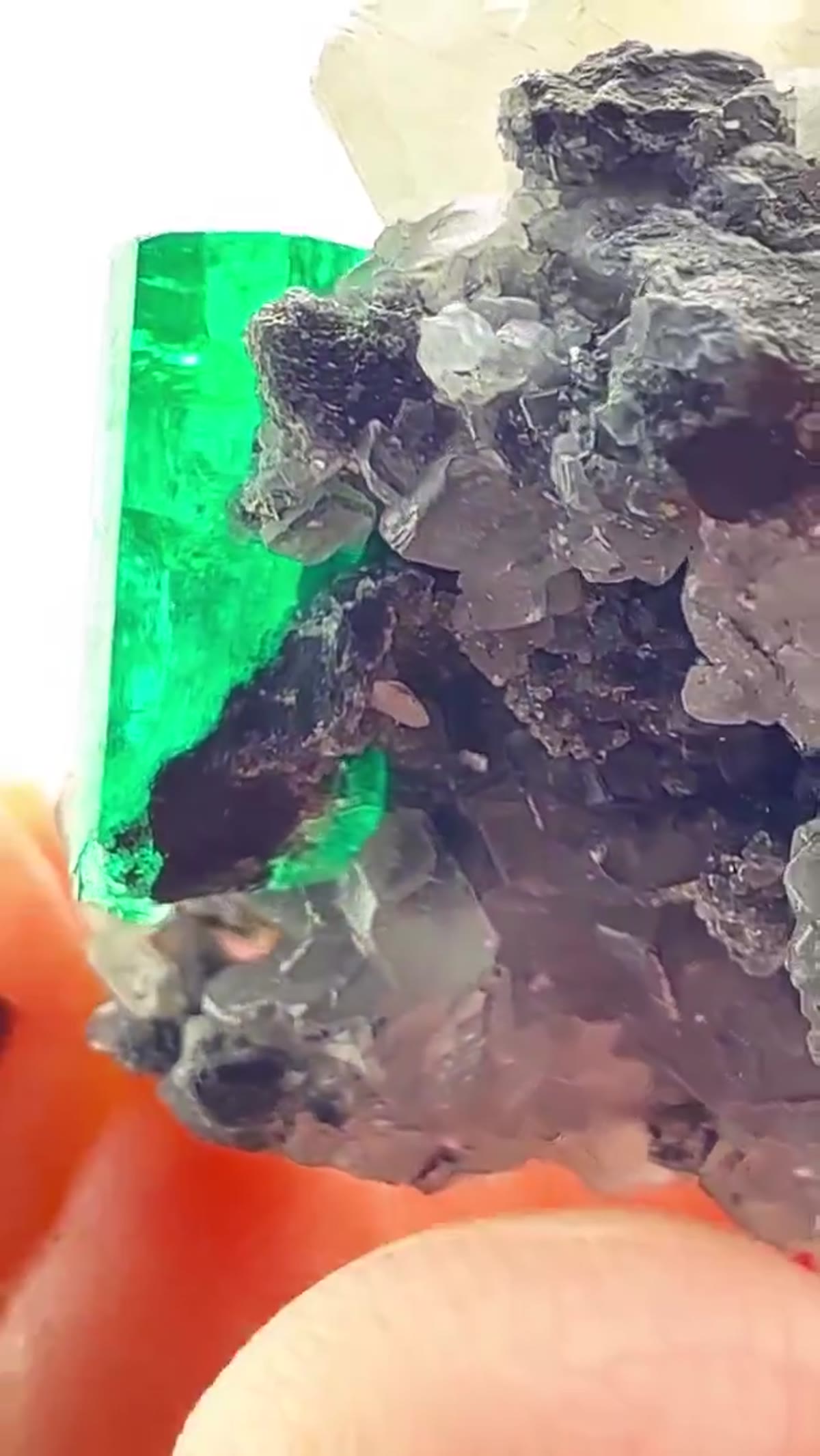 Emerald Specimen, 206.66 ct - view 4