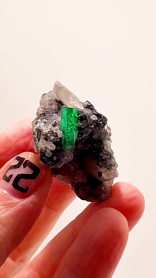 COLOMBIAN EMERALD FIRE — LA PITA STUNNER