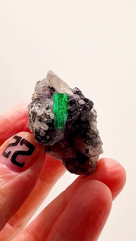 COLOMBIAN EMERALD FIRE — LA PITA STUNNER