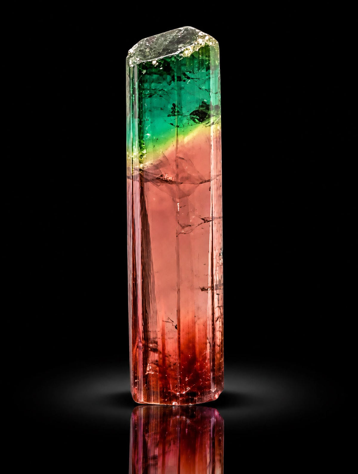 MORRO REDONDO COLOR BOMB — 7.87 GRAMS OF PURE JUICE