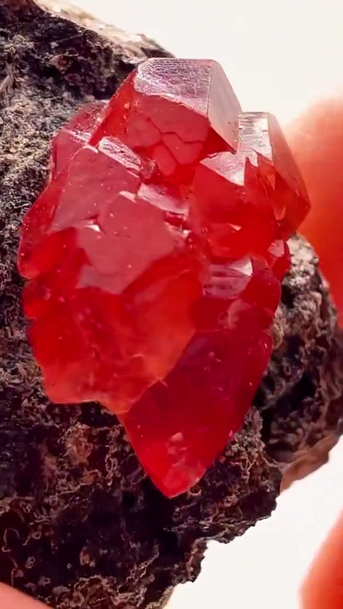 Rhodochrosite Specimen: Peruvian Cherry-Red - view 2