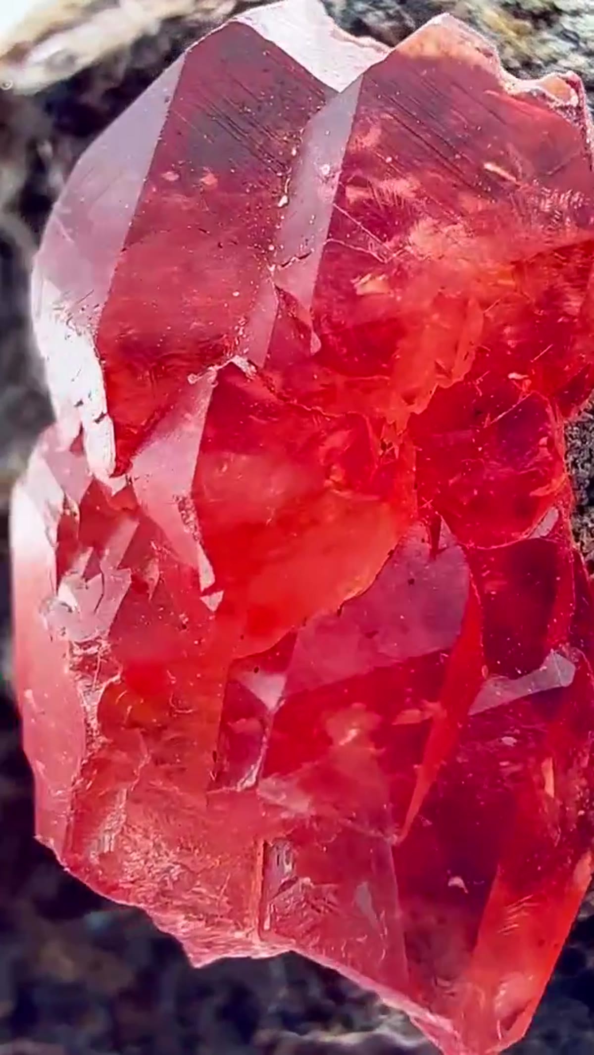 Rhodochrosite Specimen: Peruvian Cherry-Red - view 3