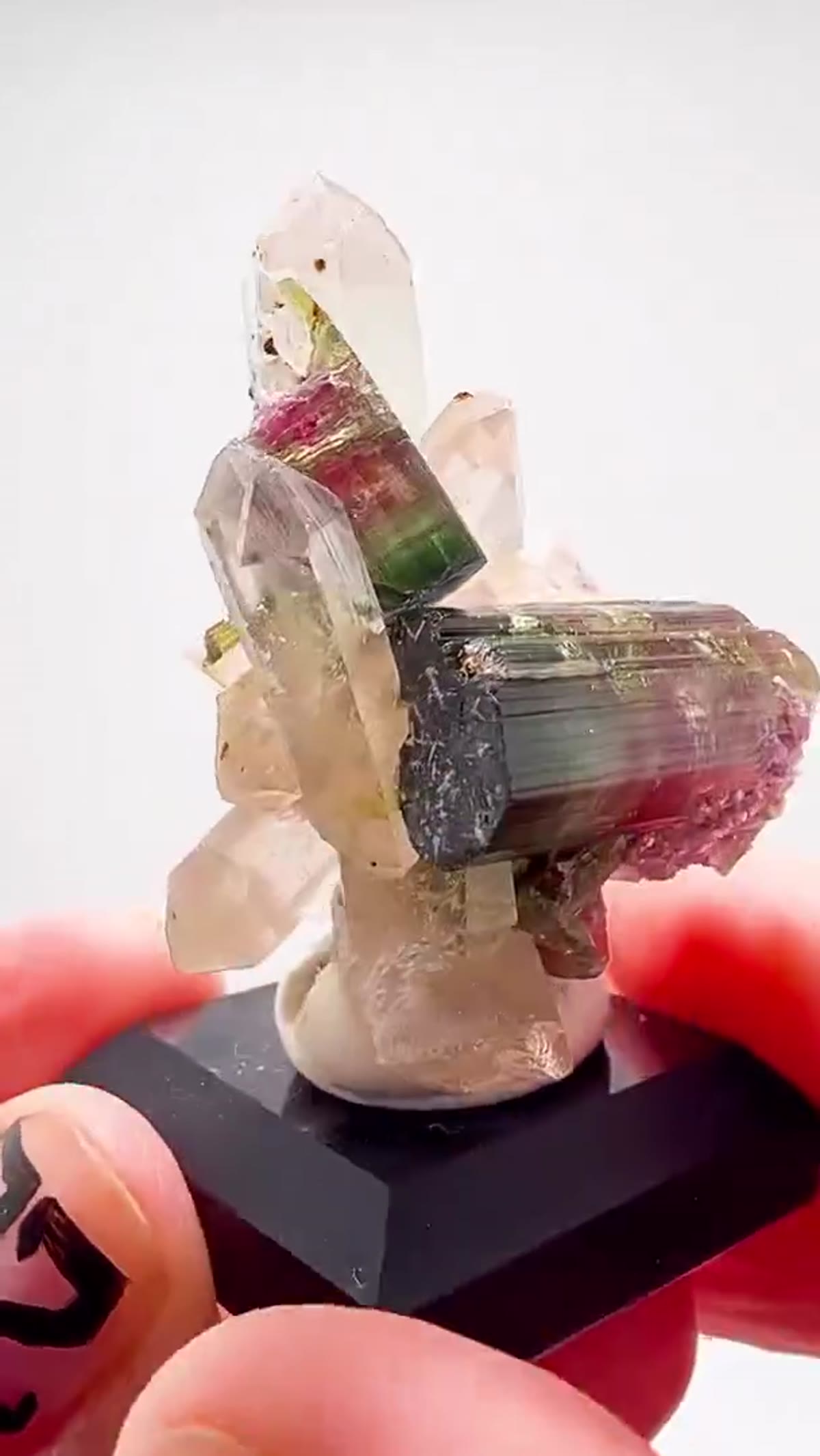 Elbaite Tourmaline Specimen from Aricanga Mine, Brazil: Aricanga Magic - view 2