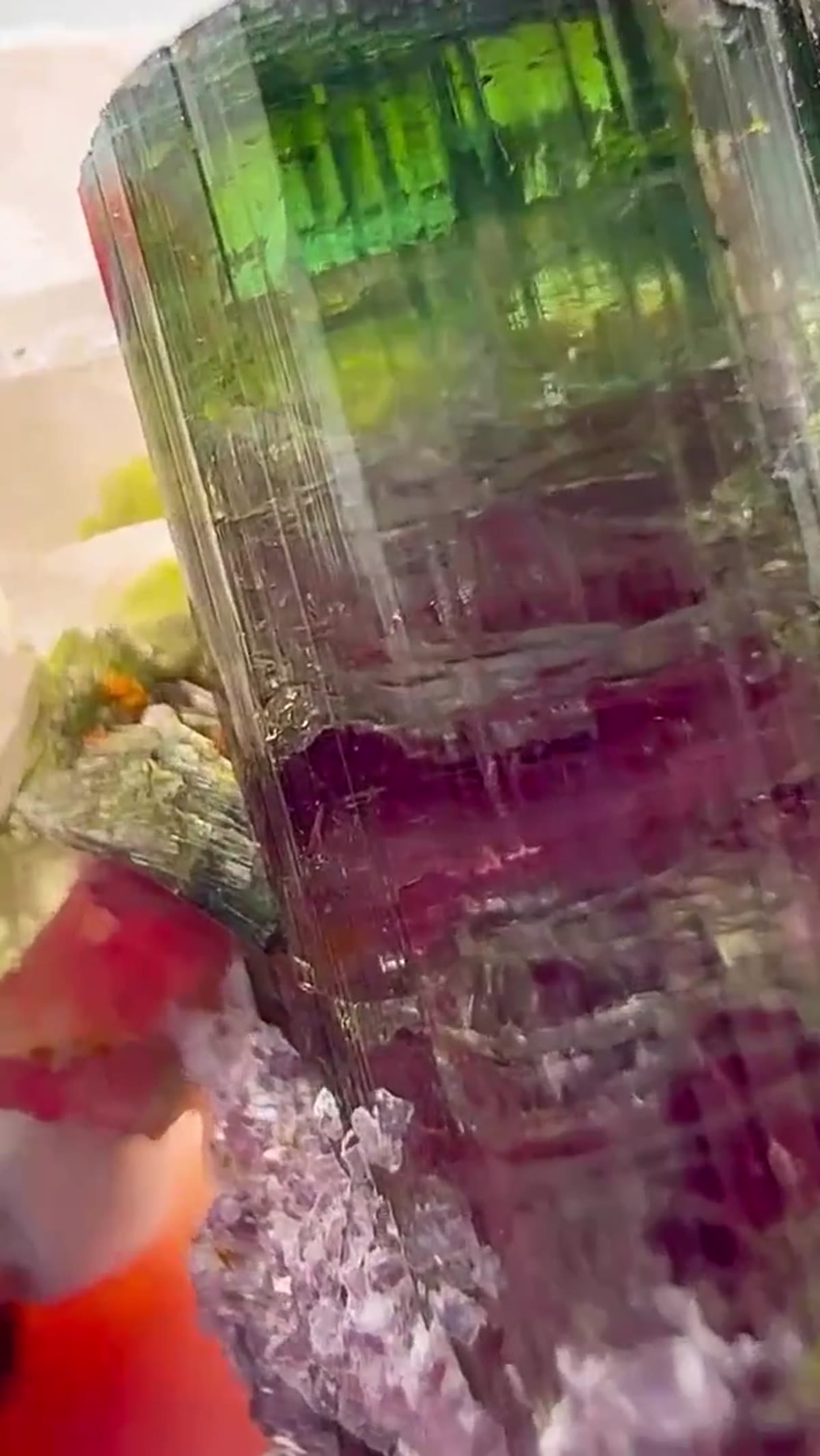 Elbaite Tourmaline Specimen from Aricanga Mine, Brazil: Aricanga Magic - view 3