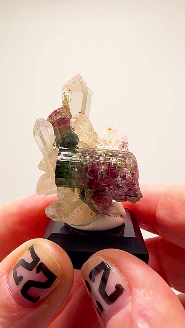 ARICANGA MAGIC — TOURMALINE & QUARTZ PERFECTION