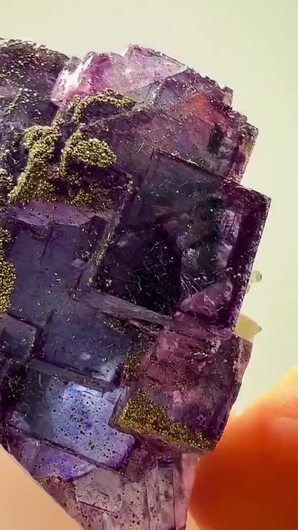 Fluorite Specimen from China: Yaogangxian Purple-Blue Dripping in Pyrite - view 2