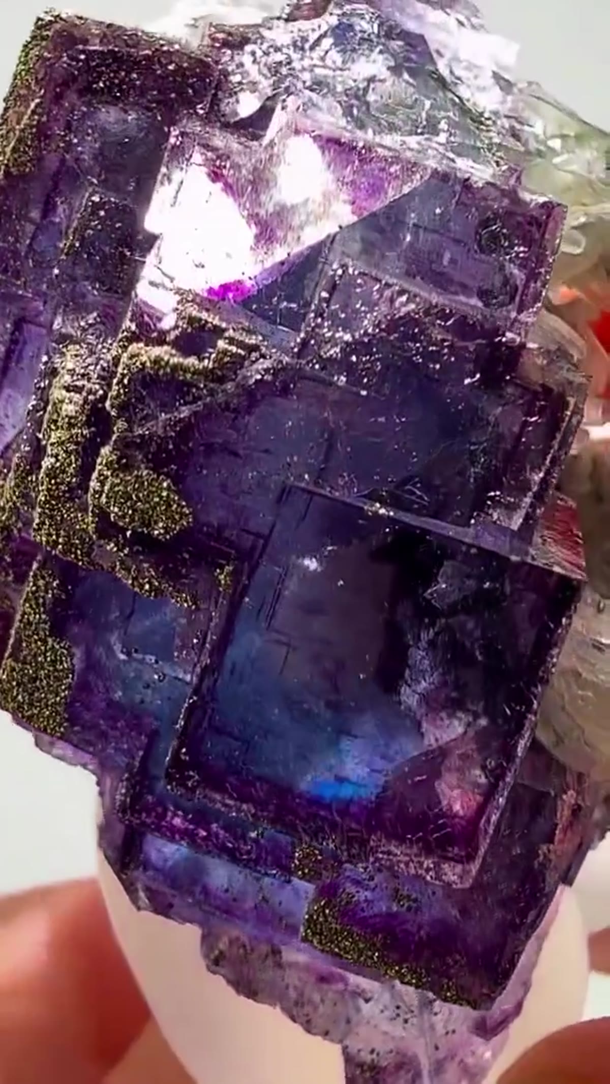 Fluorite Specimen from China: Yaogangxian Purple-Blue Dripping in Pyrite - view 4