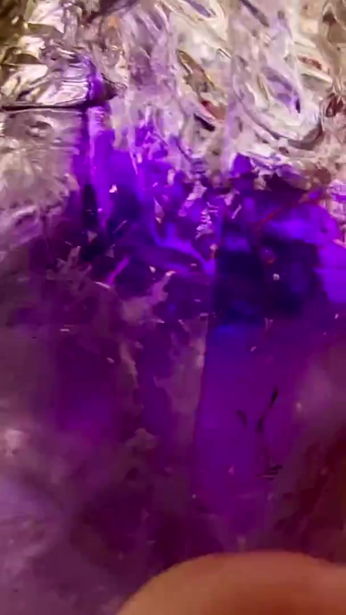 Amethyst Specimen from Streep Mine, Namibia, 134 g - view 4
