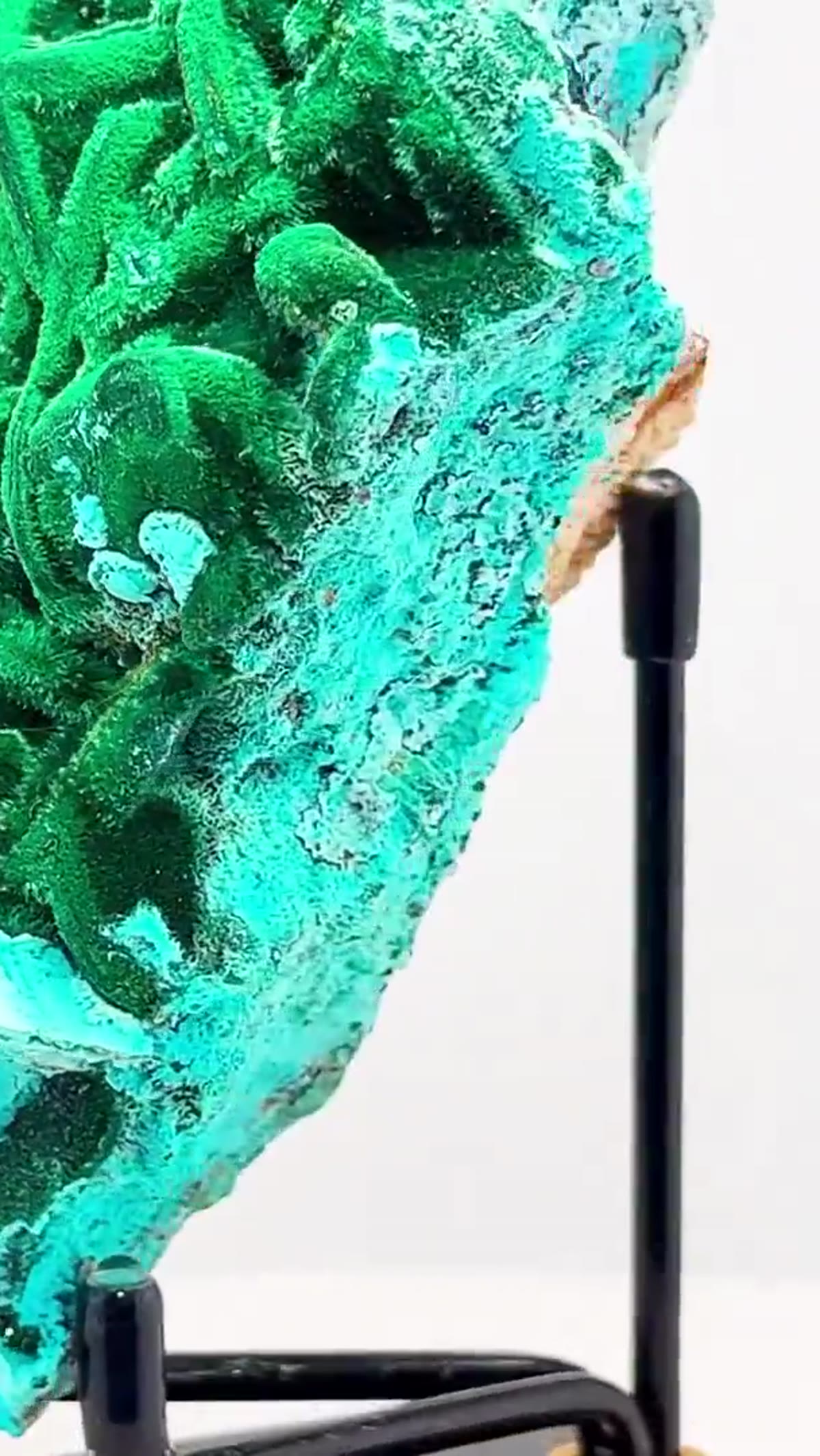 Malachite Specimen: New Alert - view 3