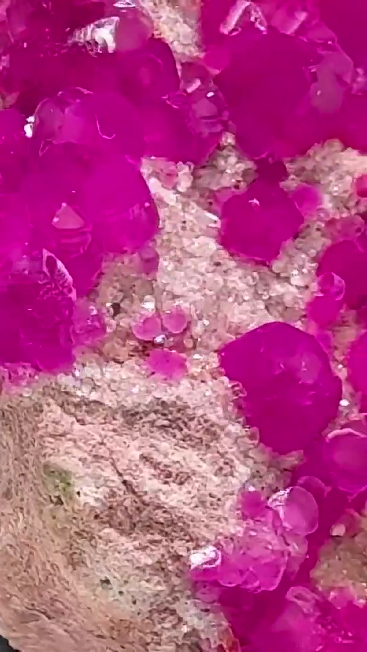 Calcite Specimen: Cobalt Color on Another Level - view 4