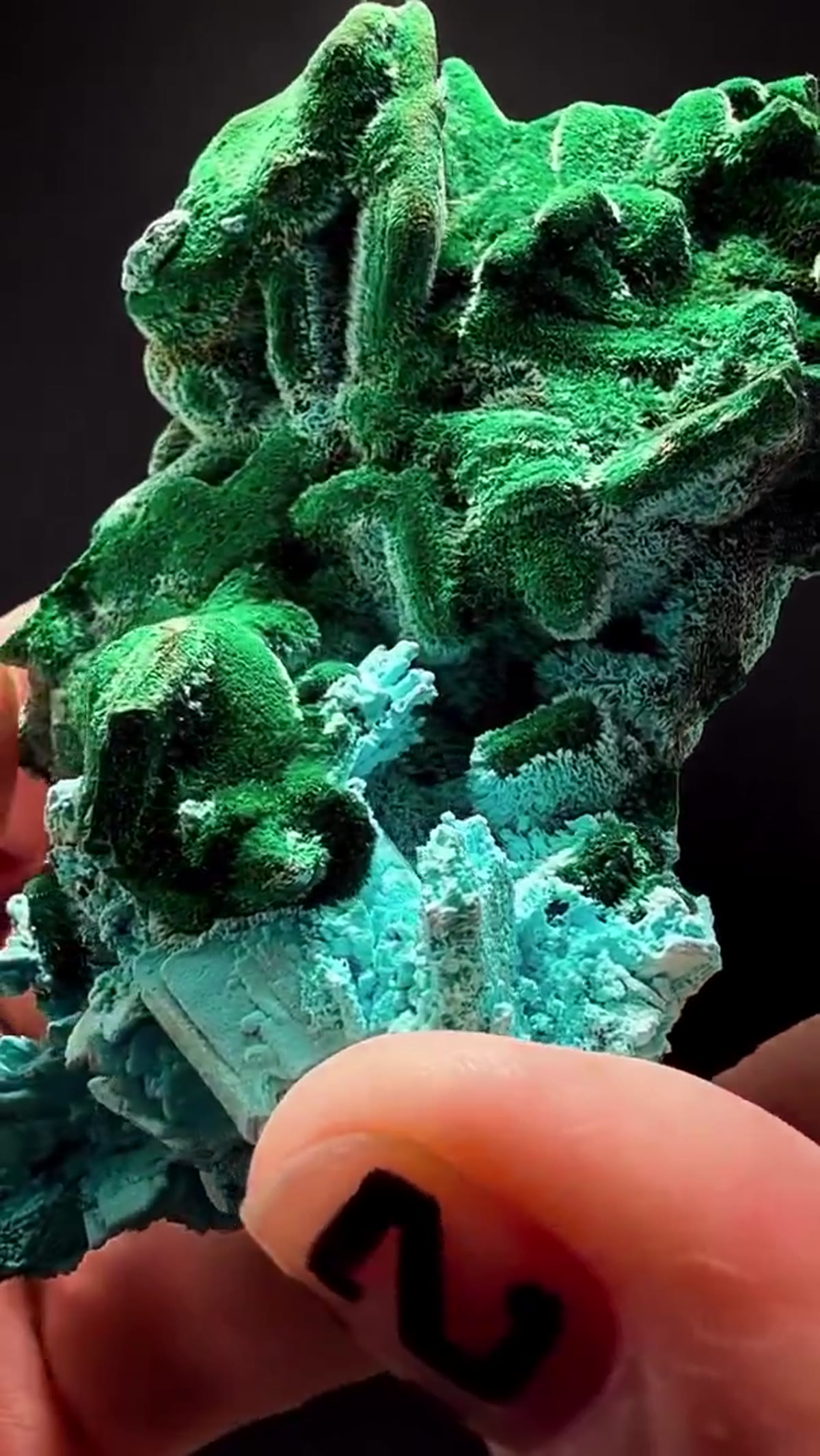 Malachite Specimen: Fresh Congo - view 2