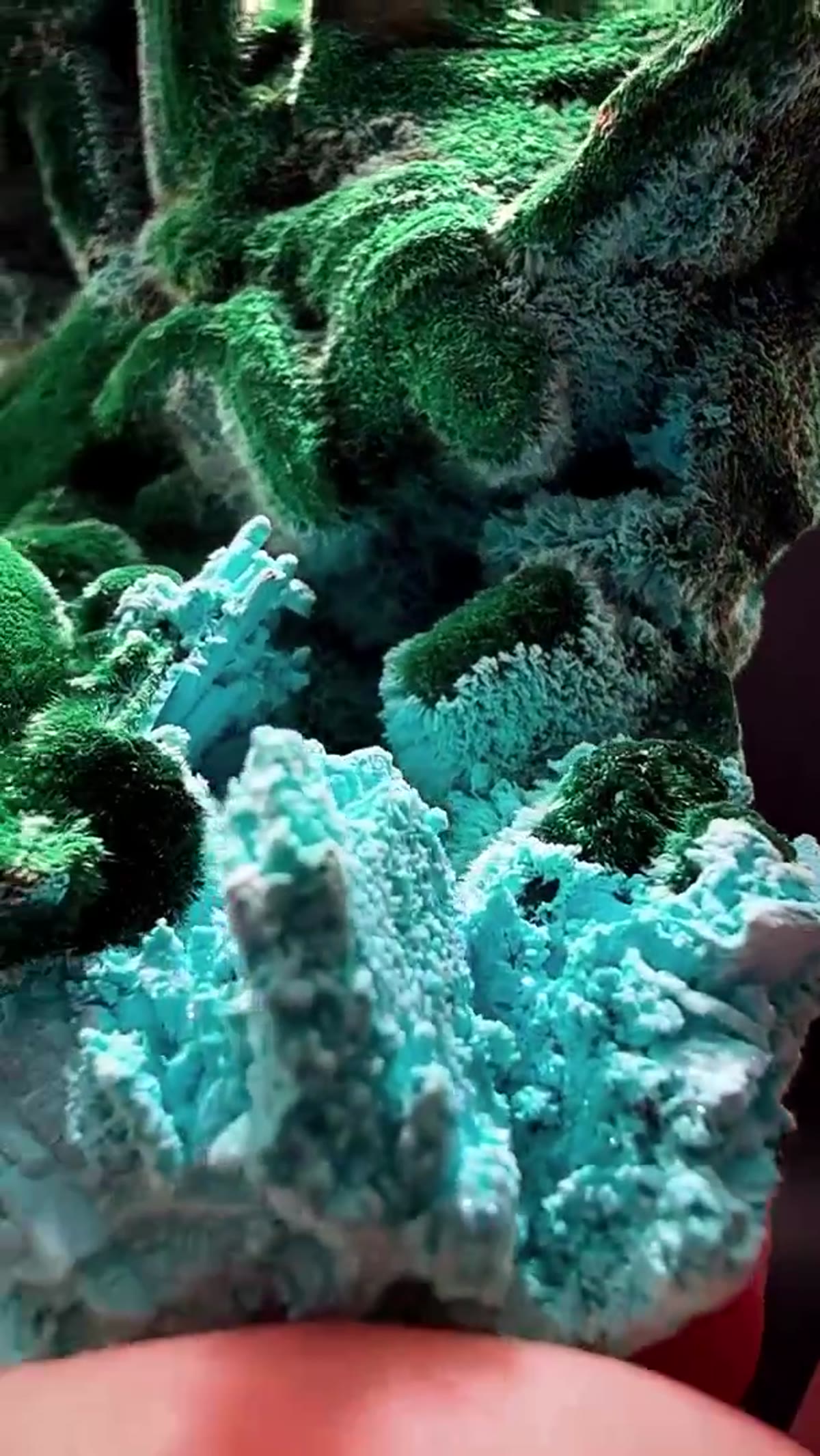 Malachite Specimen: Fresh Congo - view 3