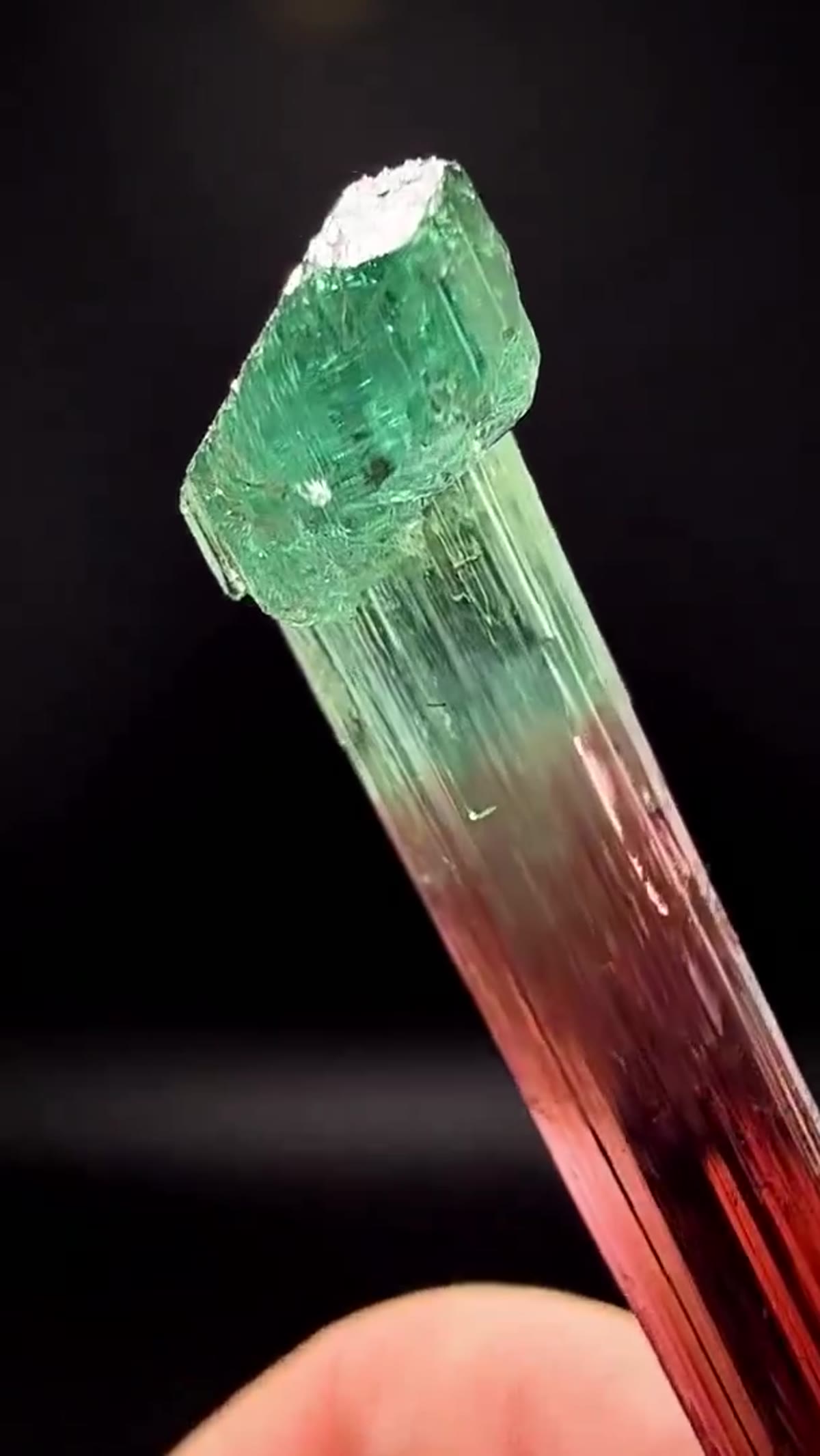Elbaite Tourmaline Specimen from Minas Gerais, Brazil, 8.20 g - view 4