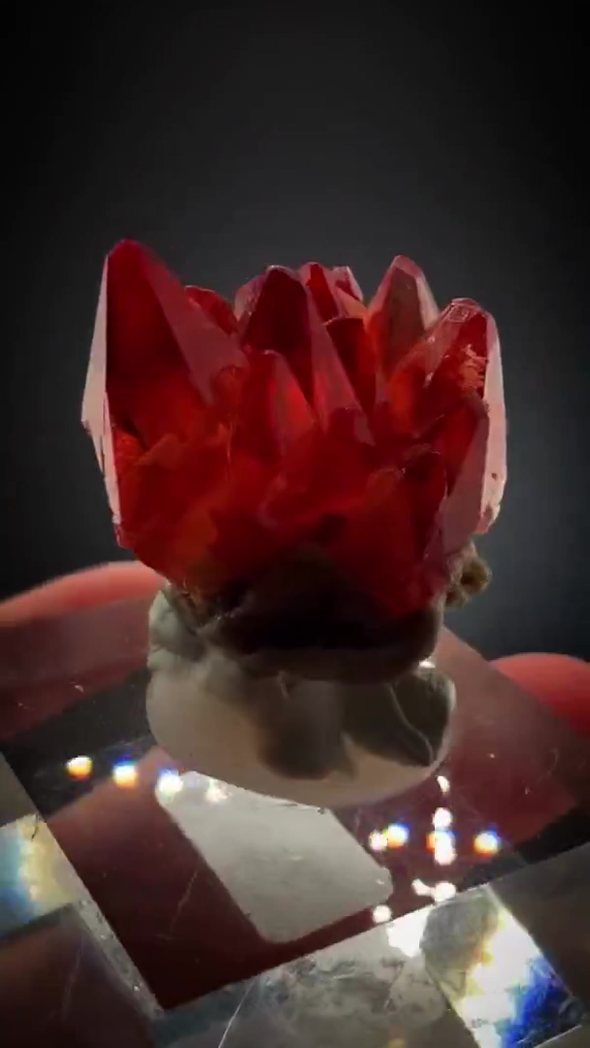 Rhodochrosite Specimen: And She’s Hot Rhodochrosite Royalty - view 3