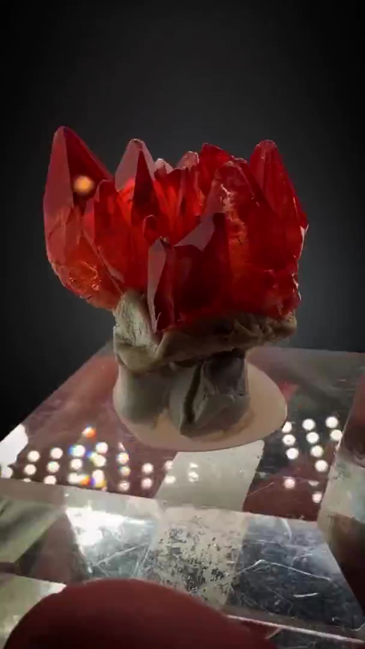 Rhodochrosite Specimen: And She’s Hot Rhodochrosite Royalty - view 4