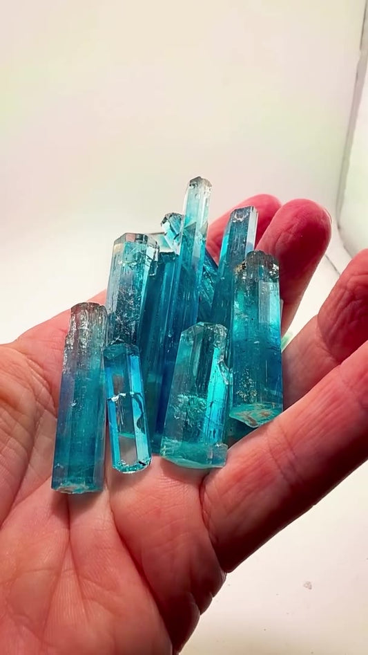 VIETNAM AQUAMARINE INSANITY