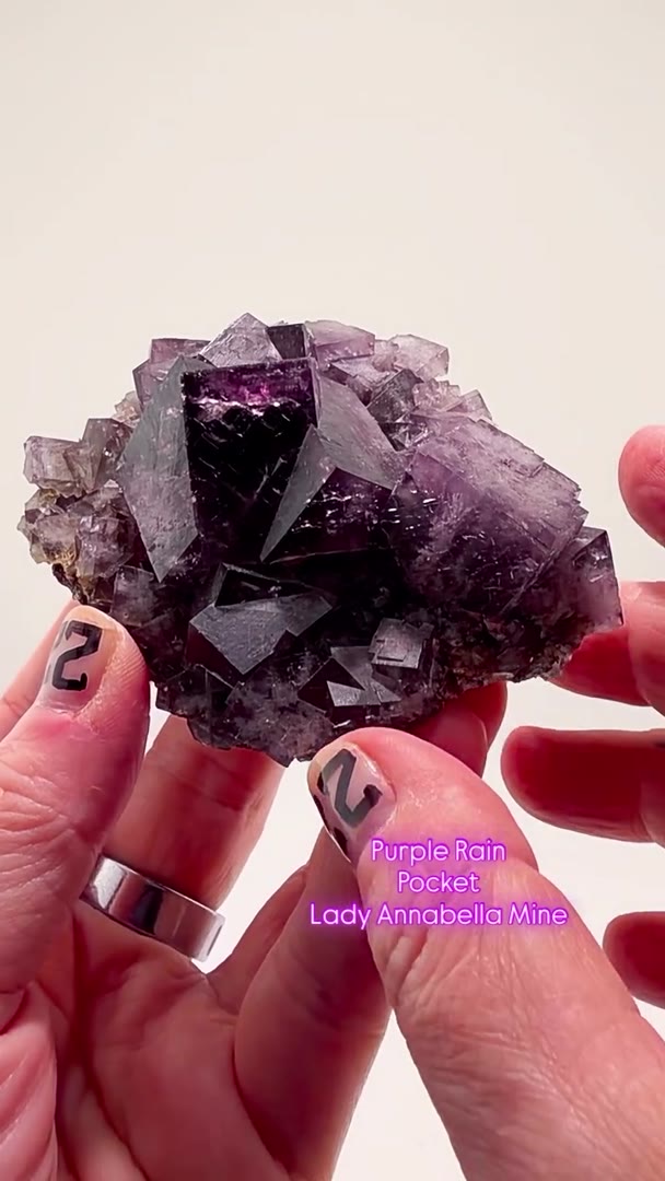 PURPLE RAIN POCKET PERFECTION — 9 × 8 CM OF PURE WEARDALE MAGIC