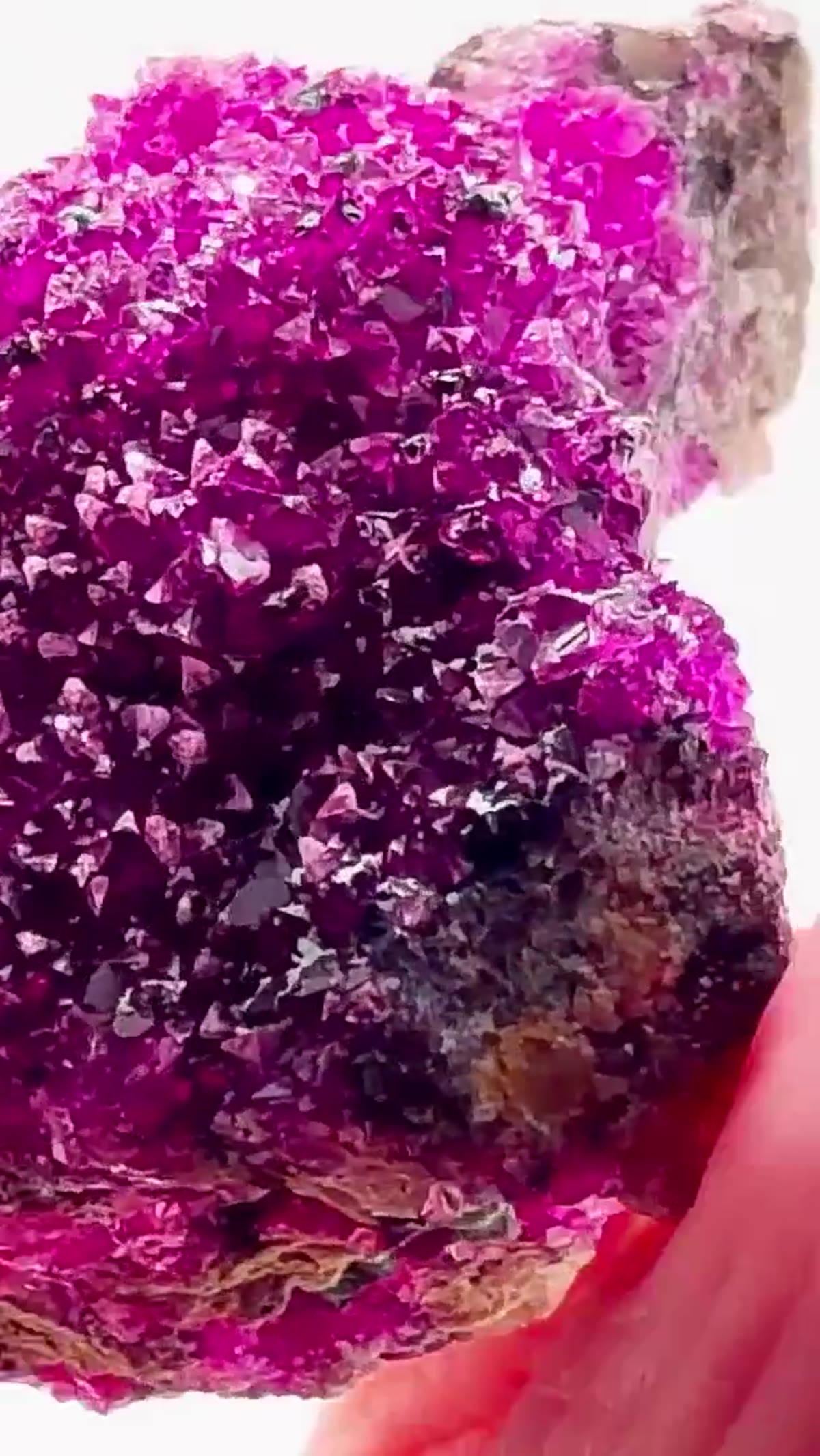 Calcite Specimen: Hot Pink Congo Insanity - view 3