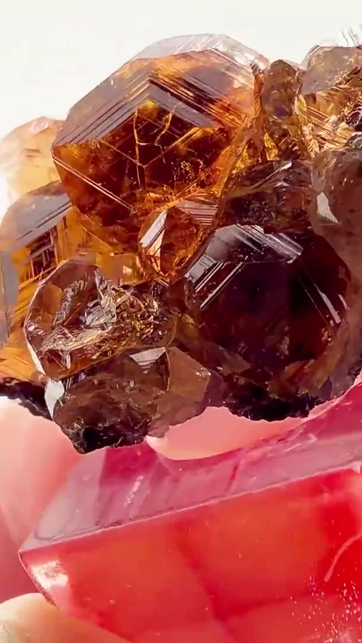 Garnet Specimen: Canadian Jeffrey Mine Garnet Perfection - view 2