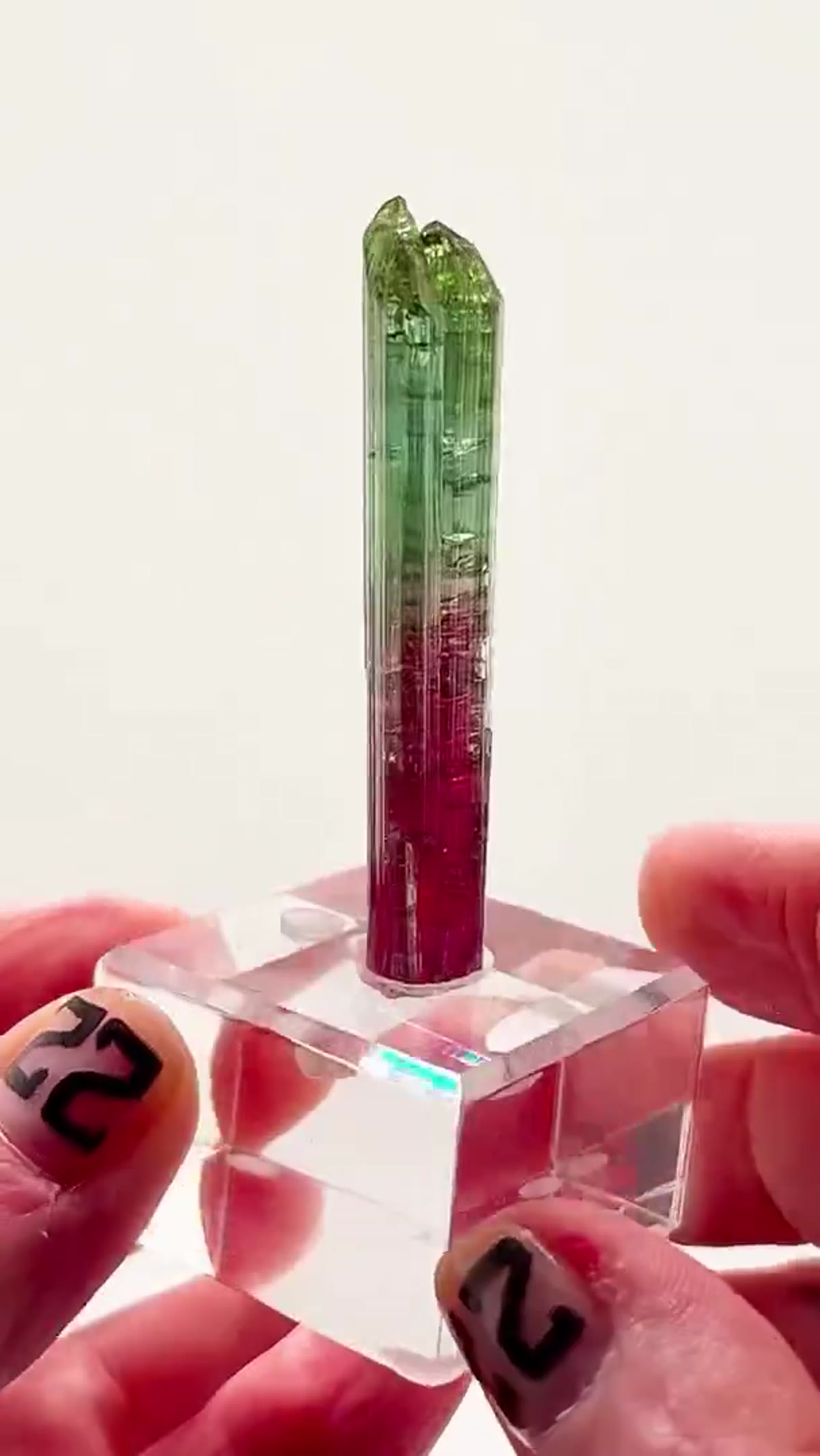 Elbaite Tourmaline Specimen from Aricanga Mine, Brazil, 15.63 g: Chameleon Pocket Tourmaline Magic - view 2