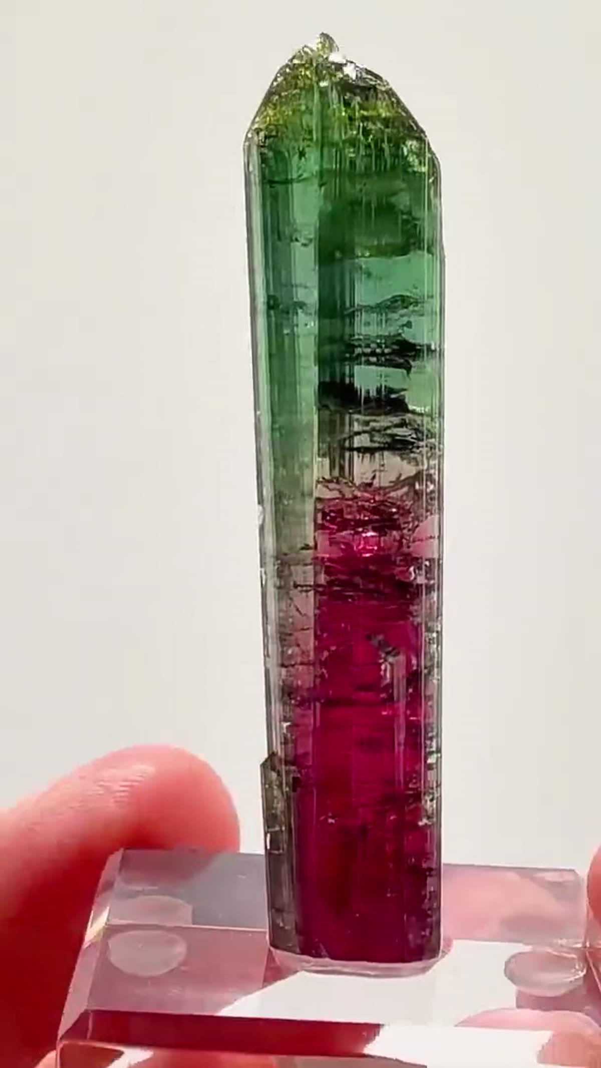 Elbaite Tourmaline Specimen from Aricanga Mine, Brazil, 15.63 g: Chameleon Pocket Tourmaline Magic - view 4