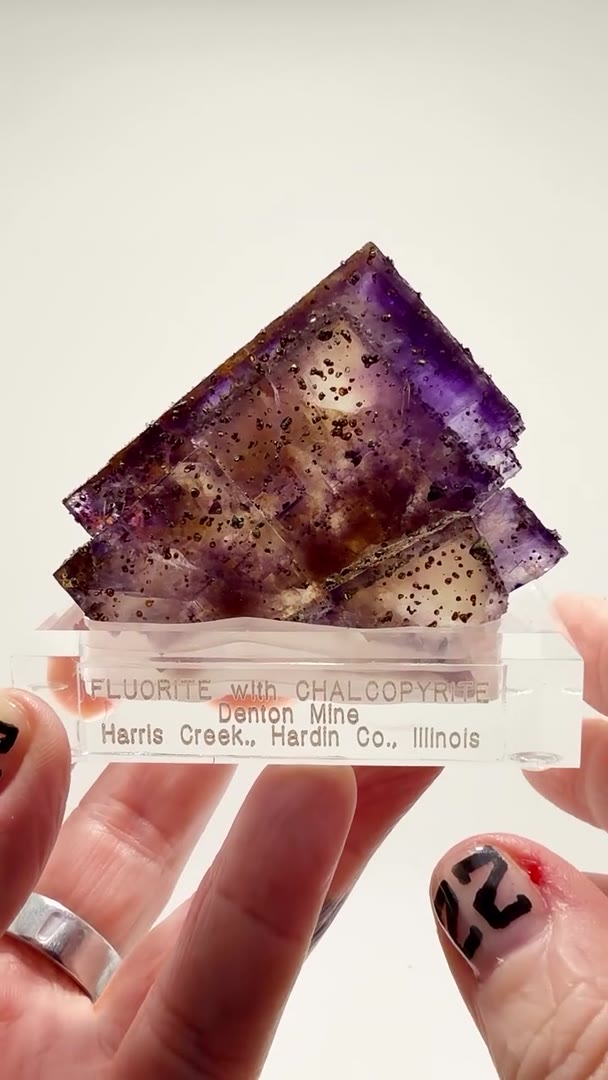 DENTON MINE ILLINOIS FLUORITE — CHALCOPYRITE SPRINKLED PERFECTION