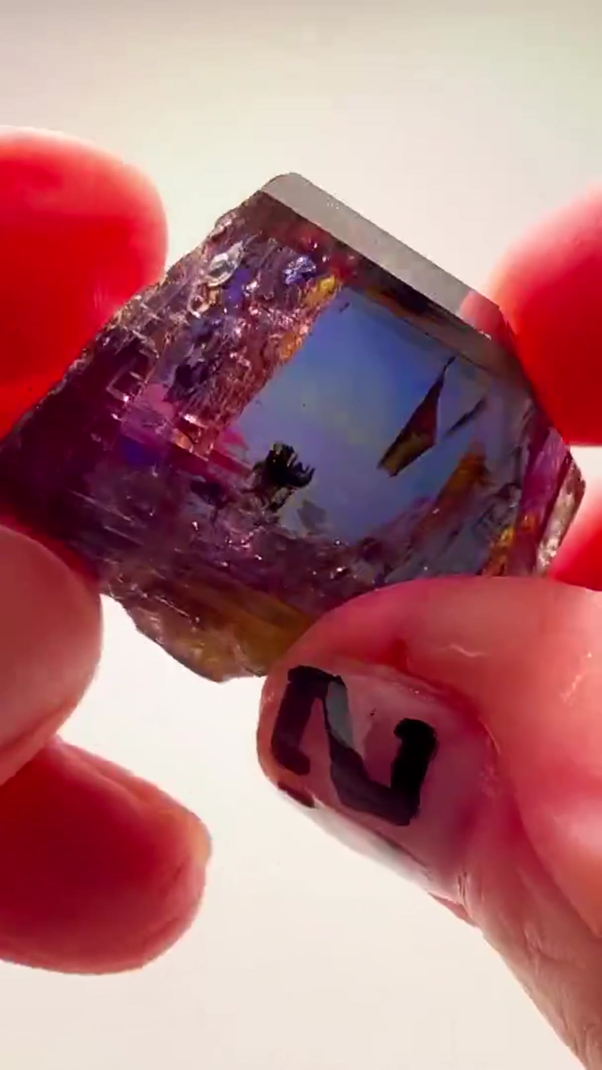 Tanzanite Specimen from Merelani Hills, Tanzania, 24 g: Pure Tanzanite - view 4