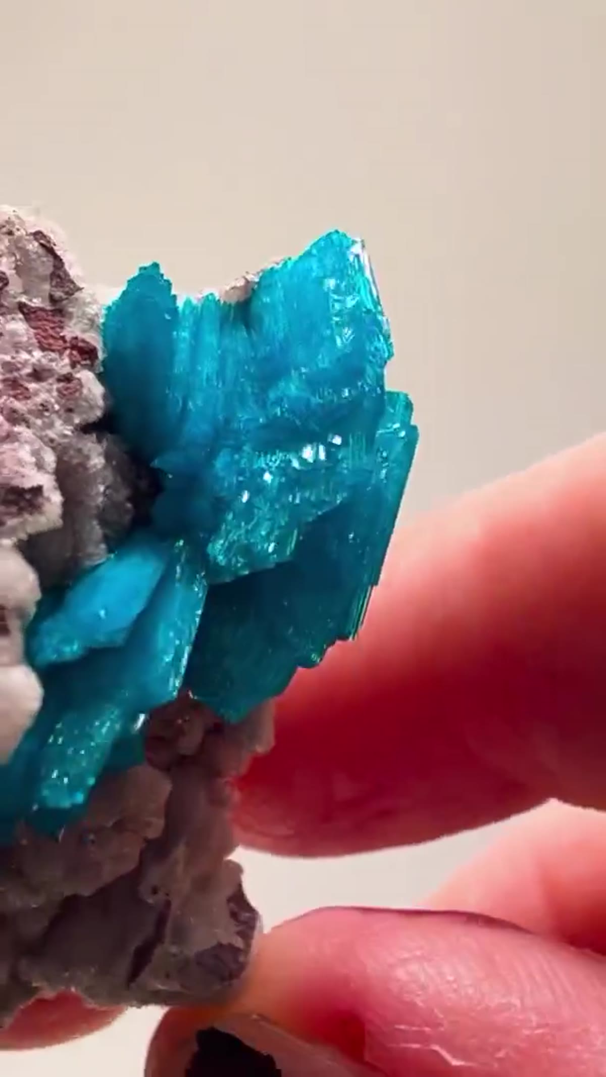 Mineral Specimen: Cavansite Color That Doesn’t Even Look Real - view 2