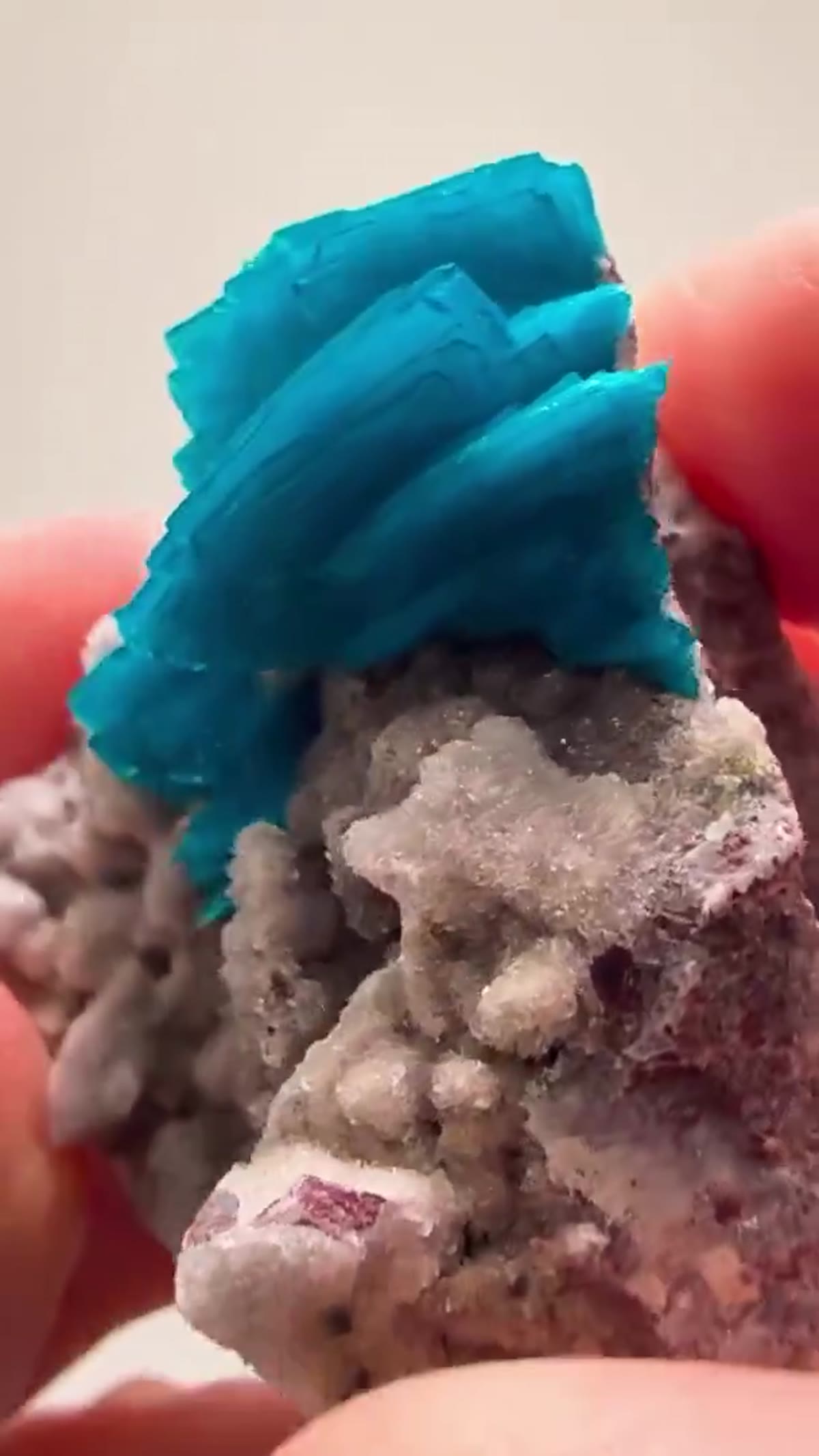 Mineral Specimen: Cavansite Color That Doesn’t Even Look Real - view 3