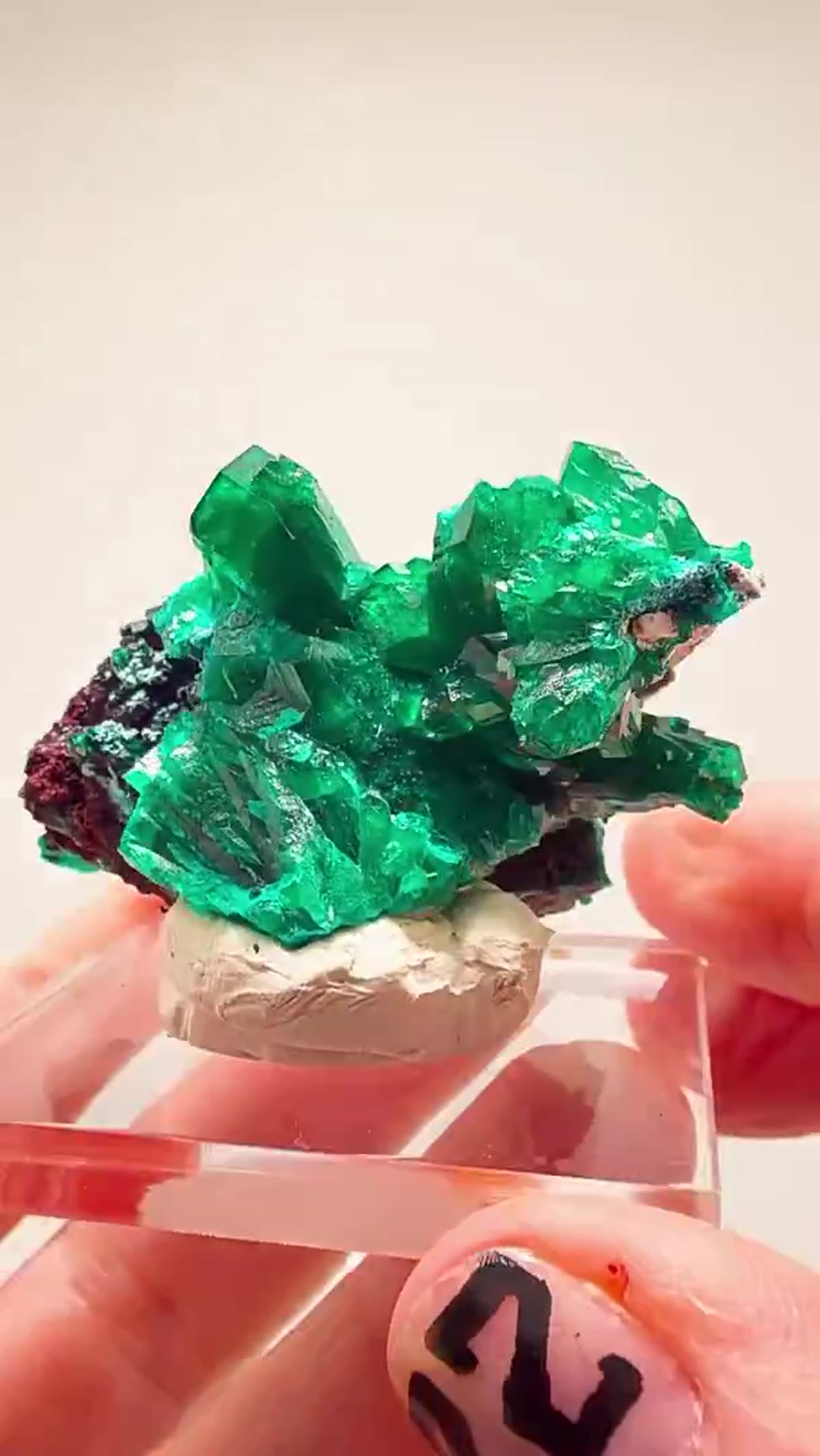 Dioptase Specimen: Dripping in Green - view 3