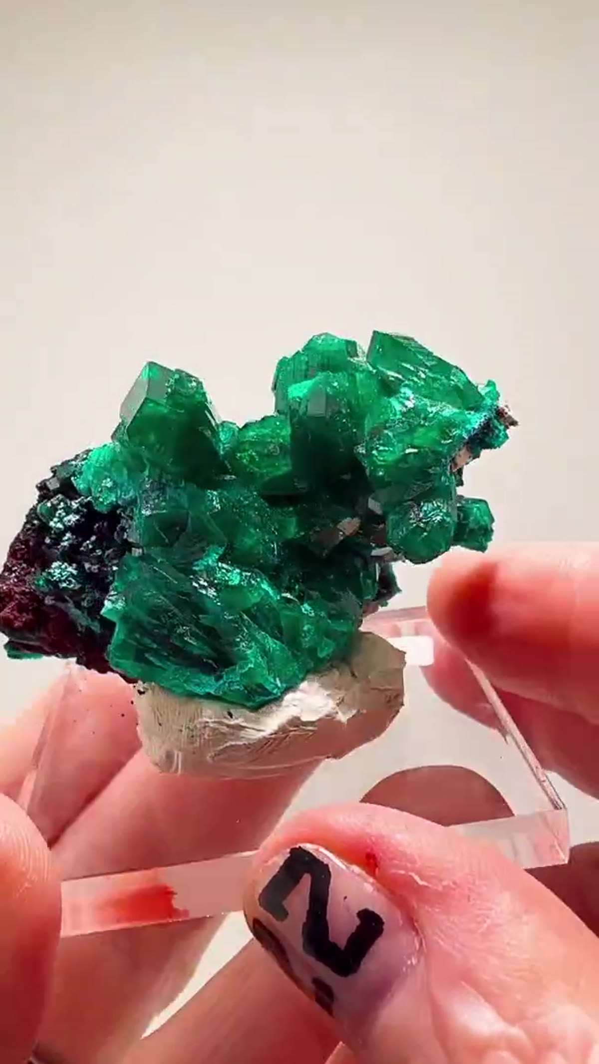 Dioptase Specimen: Dripping in Green - view 4
