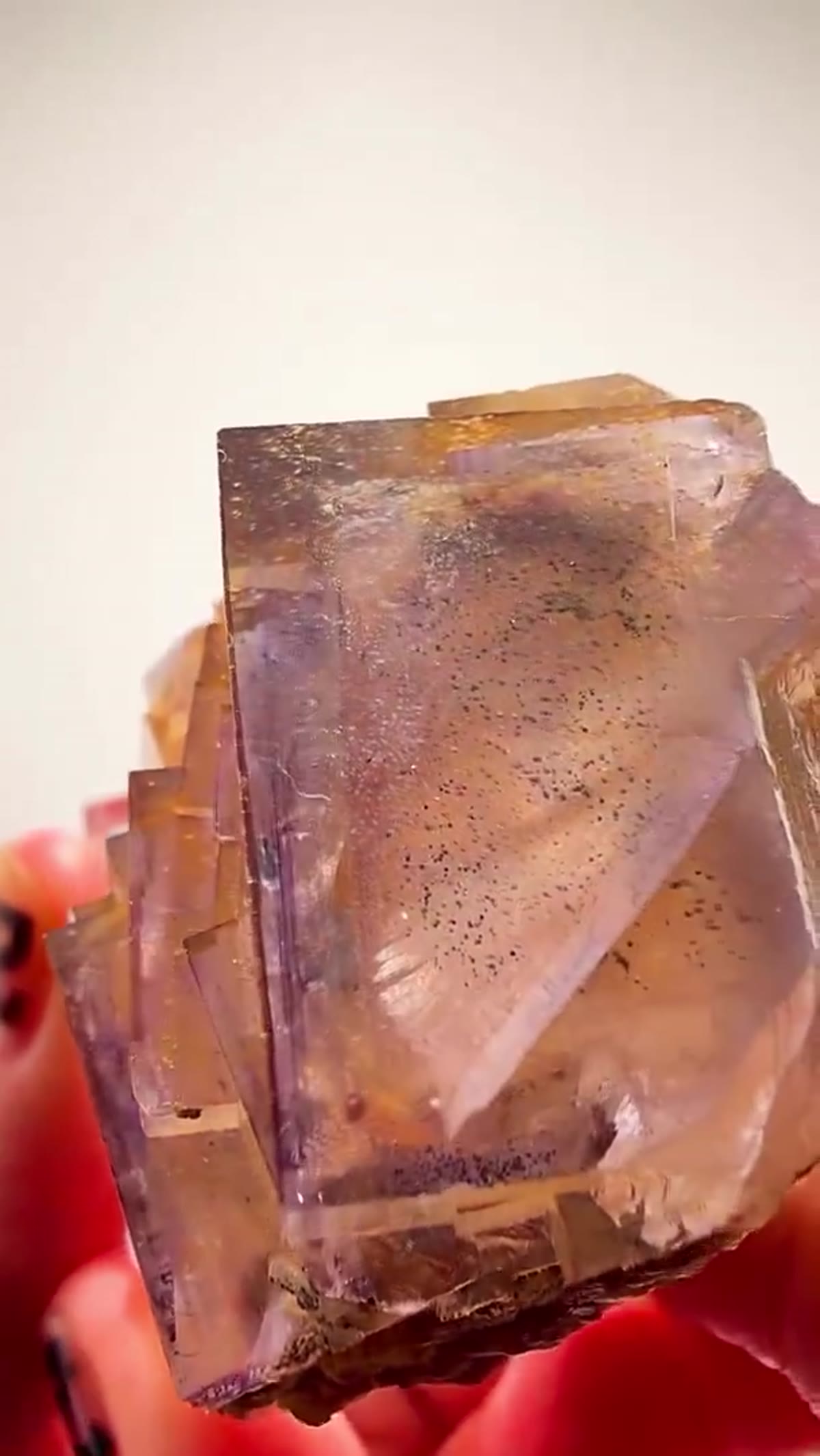 Fluorite Specimen from China: Ygx Fluorite Insanity - view 3