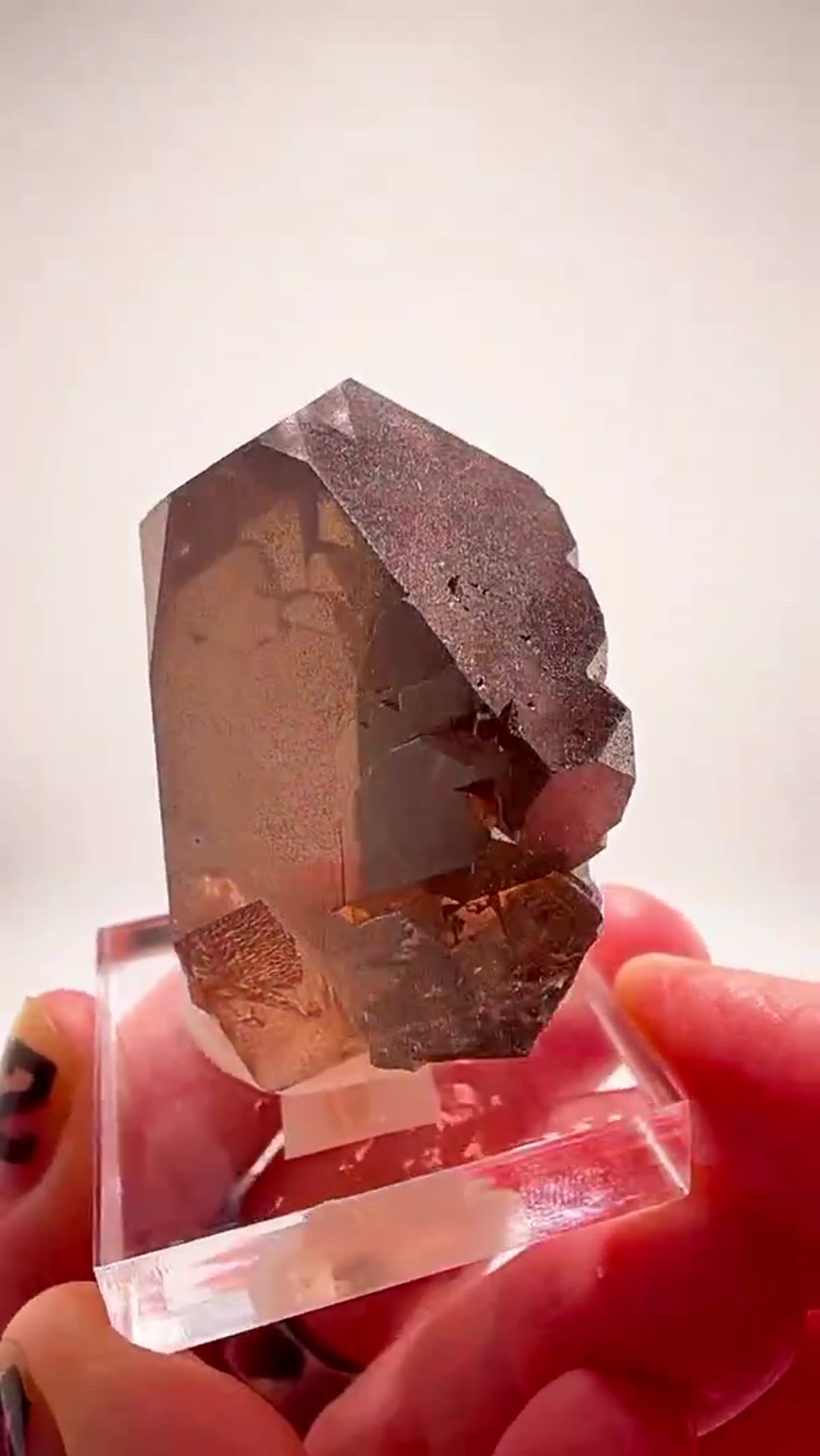 Smoky Quartz Specimen: French Alps Smoky Quartz Insanity - view 2