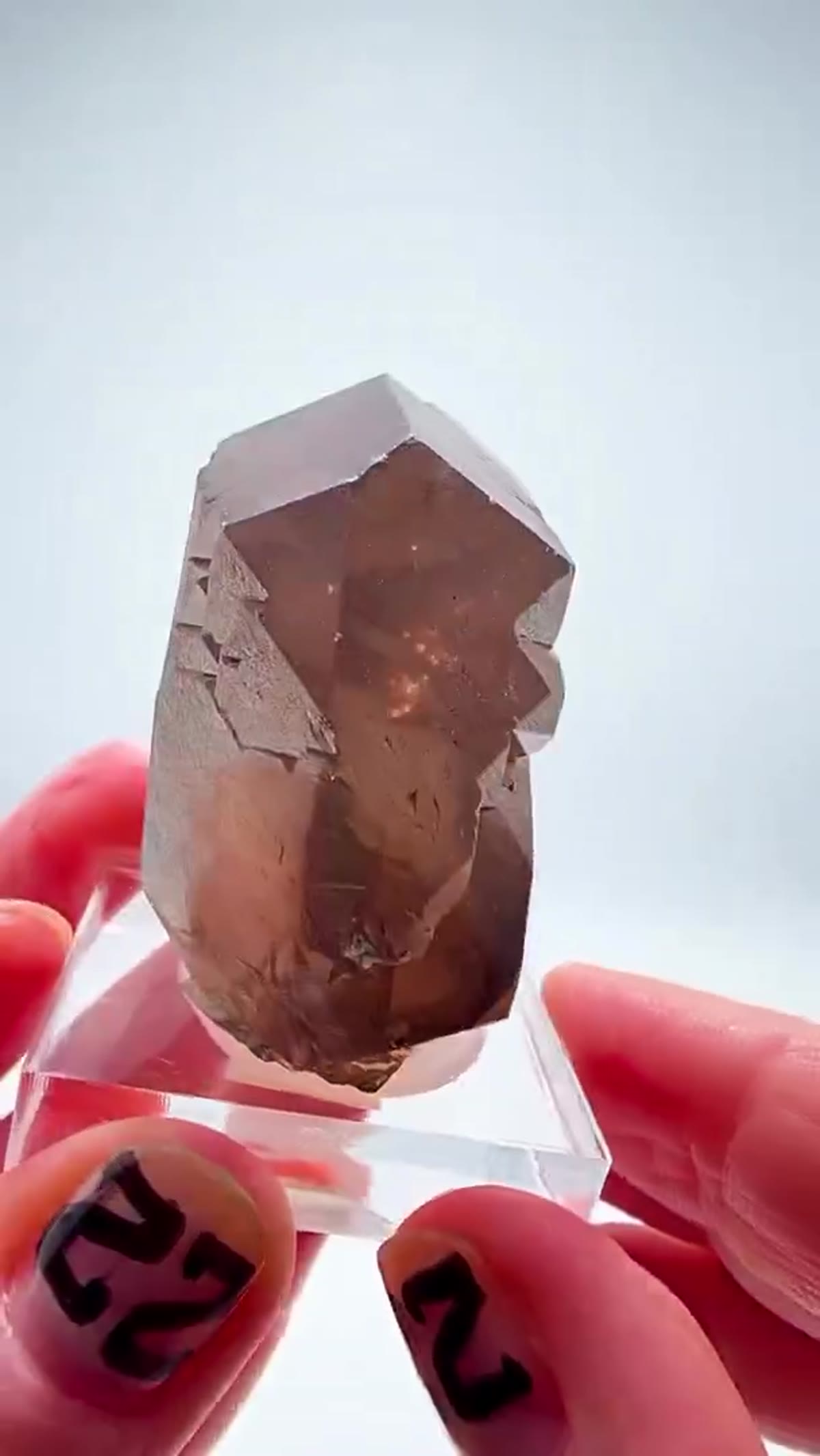 Smoky Quartz Specimen: French Alps Smoky Quartz Insanity - view 3