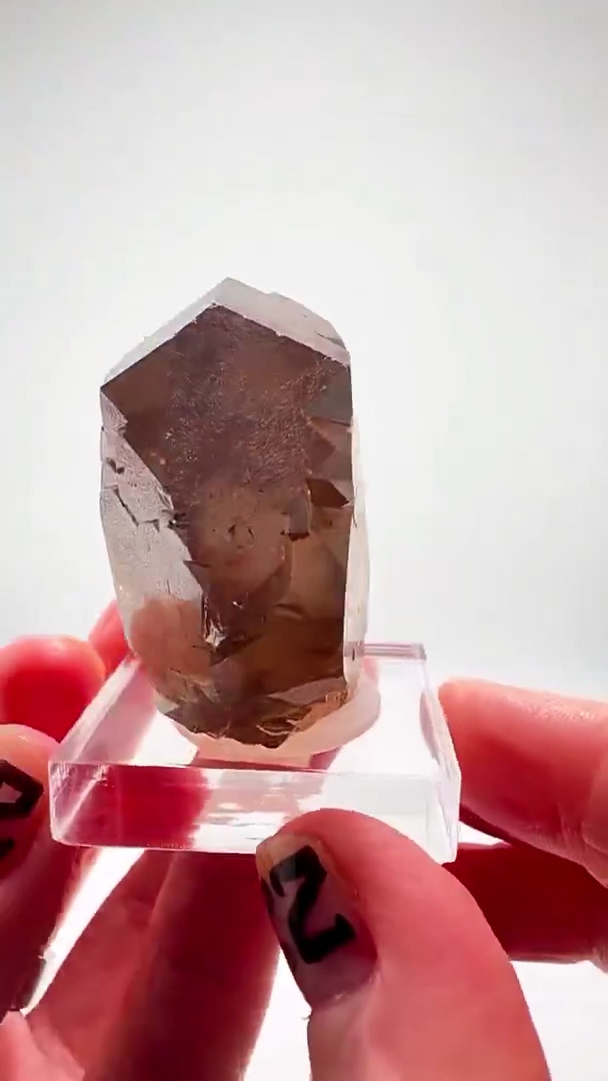 Smoky Quartz Specimen: French Alps Smoky Quartz Insanity - view 4
