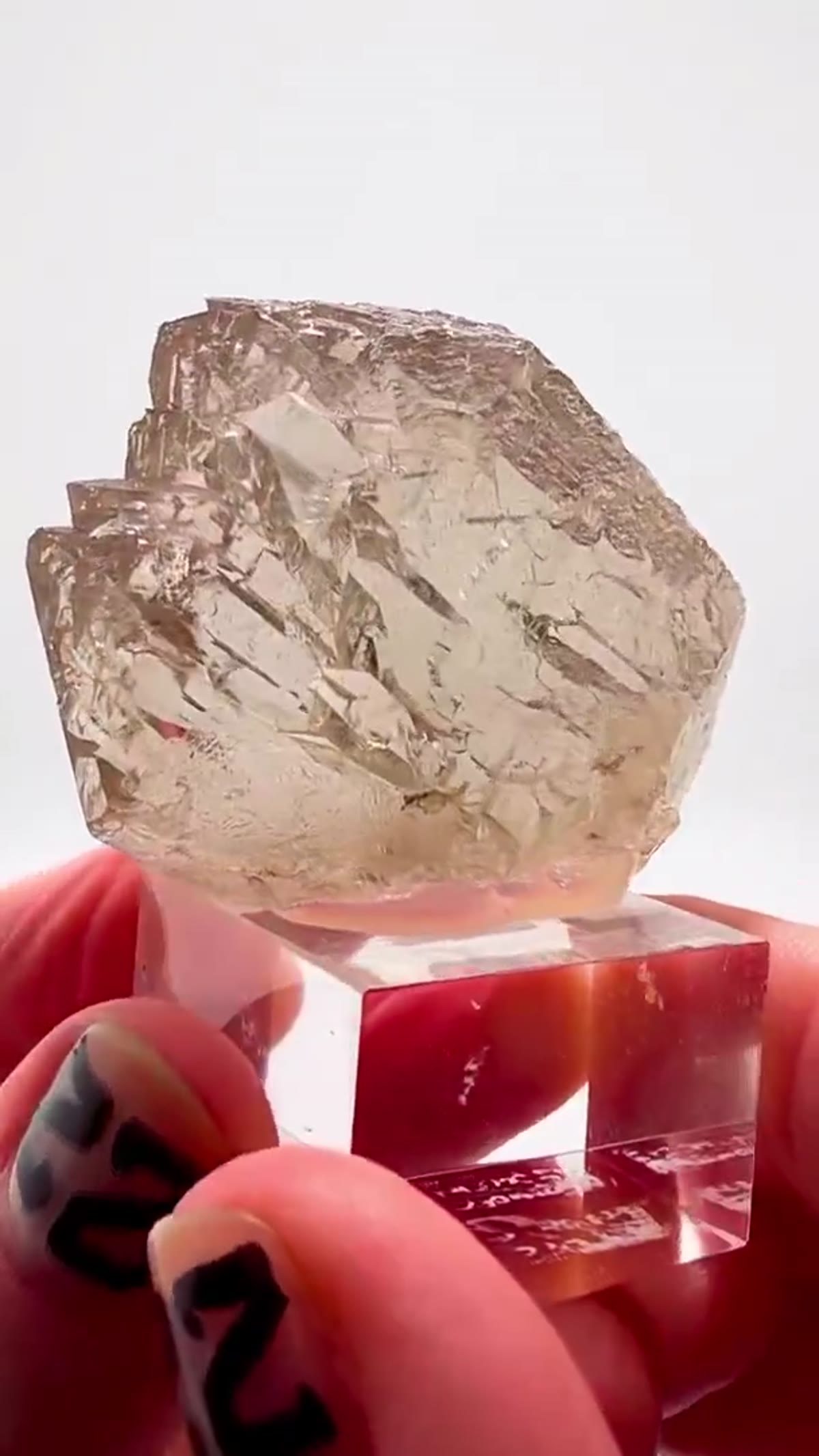 Smoky Quartz Specimen: French Alps Masterpiece - view 2
