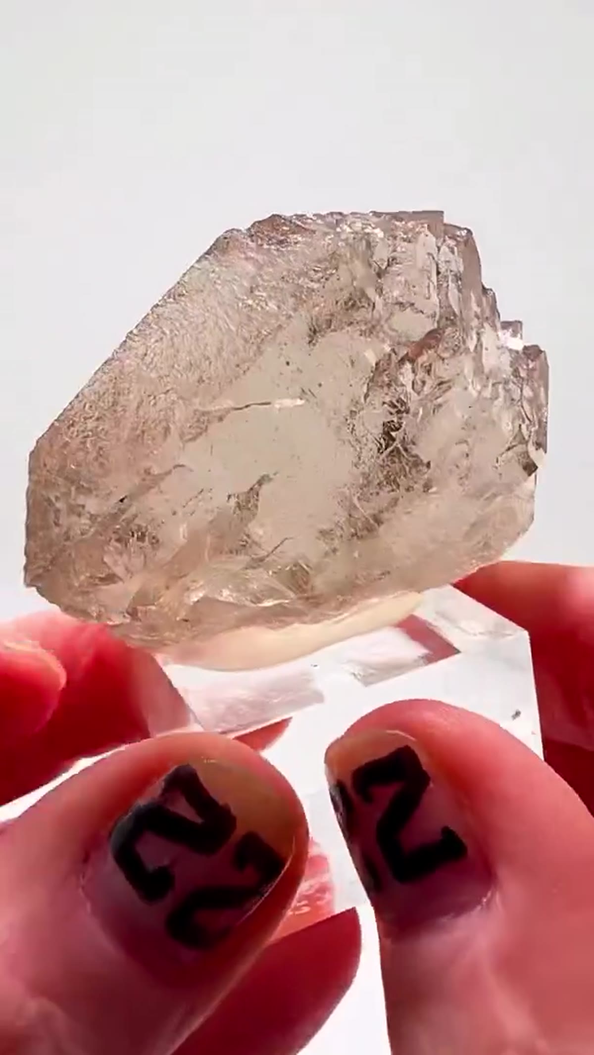 Smoky Quartz Specimen: French Alps Masterpiece - view 3