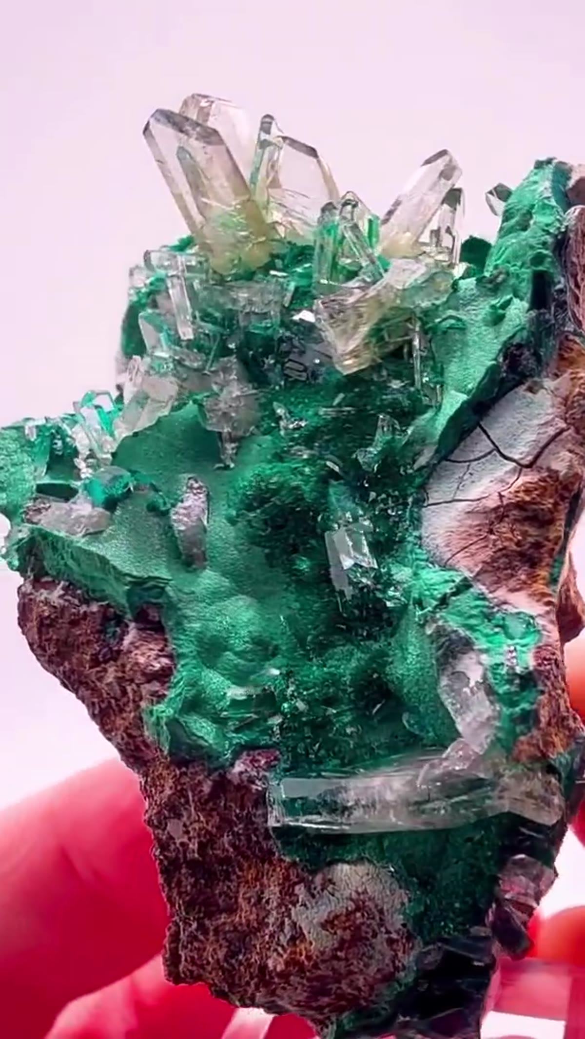 Malachite Specimen: Glass Pocket Insanity - view 2