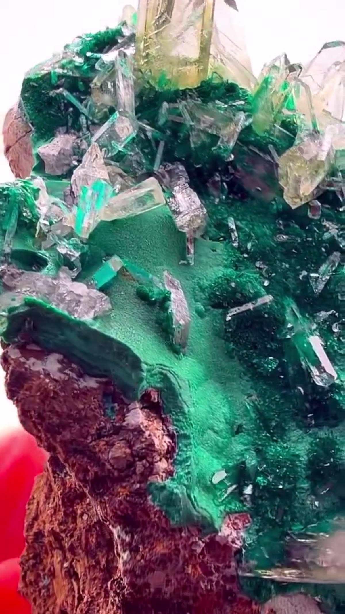 Malachite Specimen: Glass Pocket Insanity - view 3