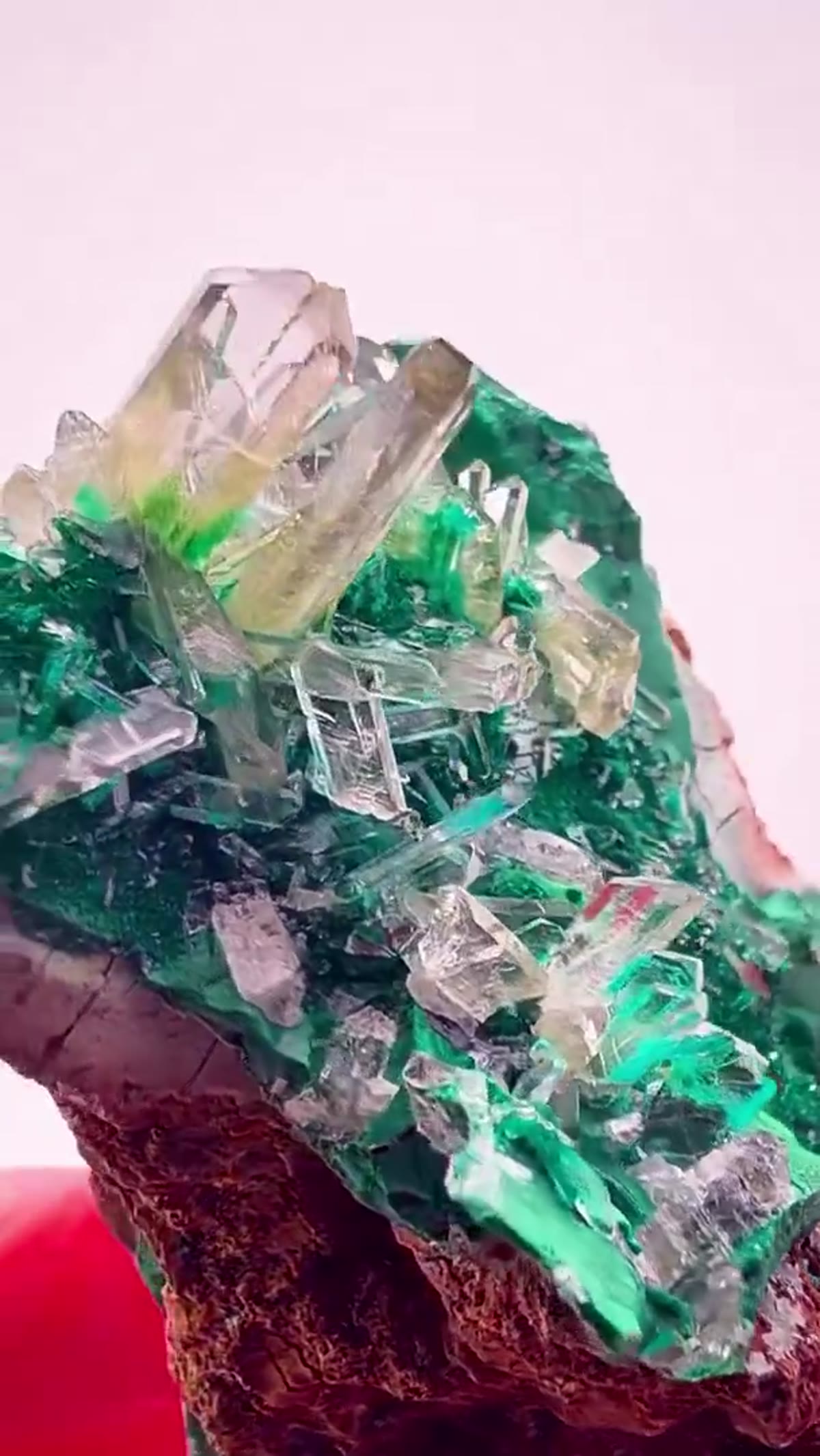 Malachite Specimen: Glass Pocket Insanity - view 4