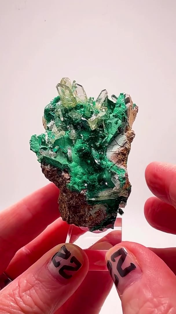 GLASS POCKET INSANITY… MALACHITE & BARITE PERFECTION FROM THE CONGO!