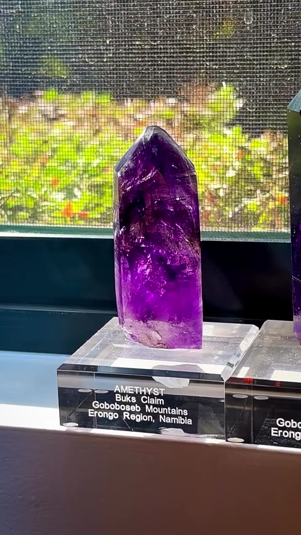 WHEN THE SUN HITS RIGHT… BUKS CLAIM BLURPLE INSANITY!