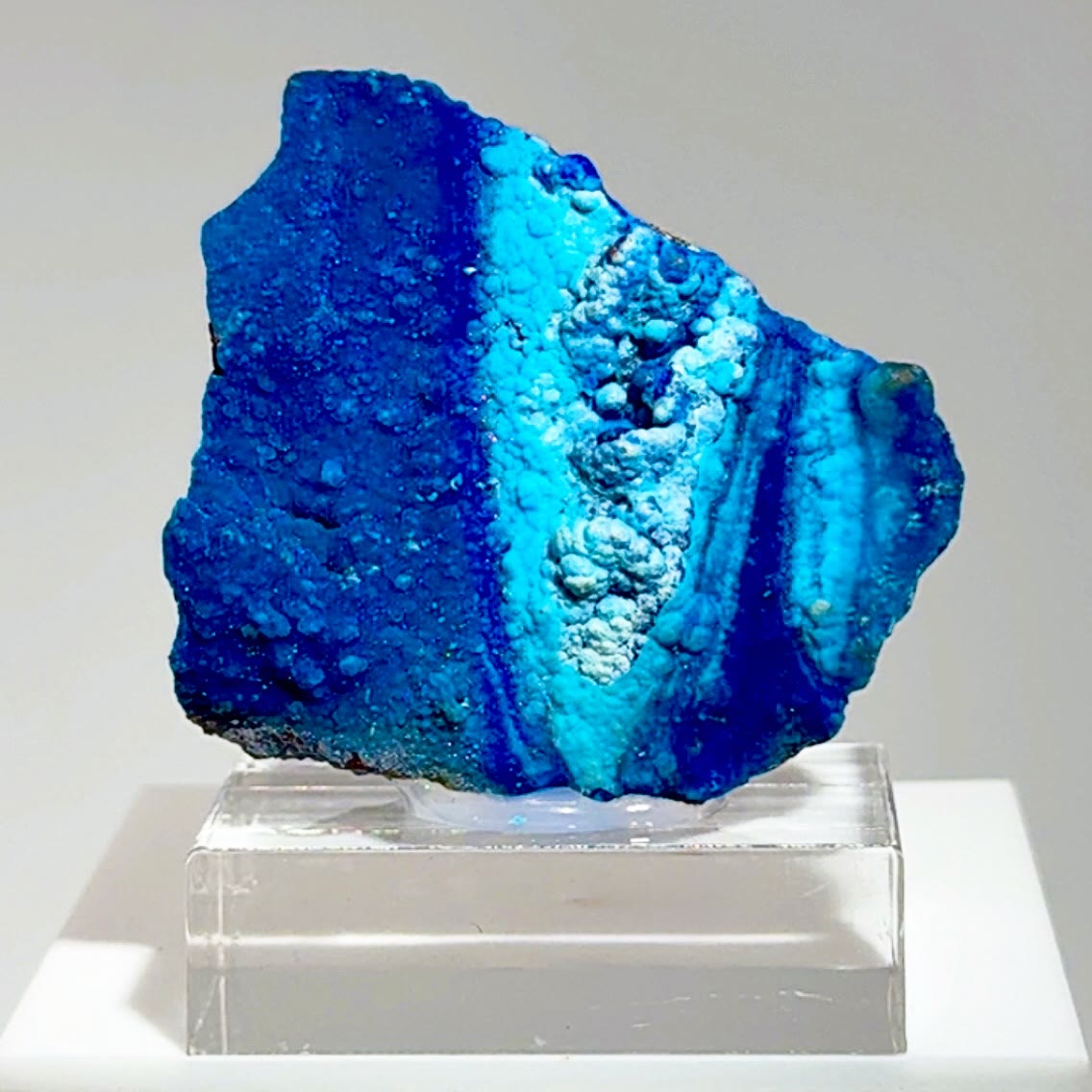 THE BLUE WAVE… PHILIPSBORNITE INSANITY FROM THE CONGO!
