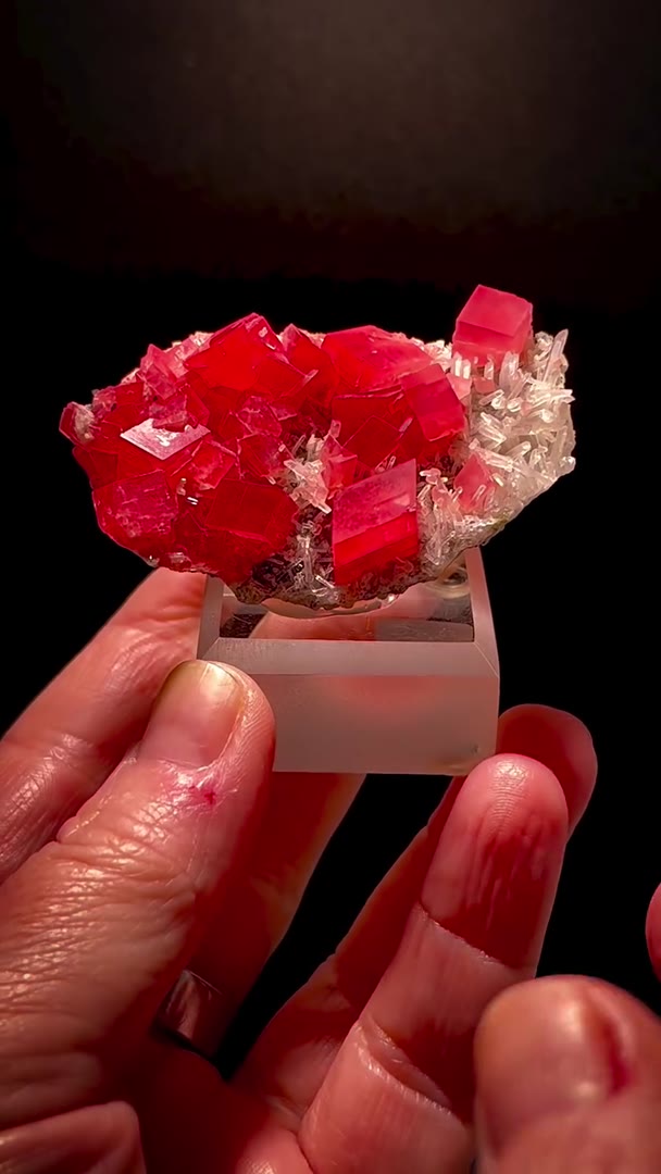 SWEET HOME RED — ABSOLUTE NEXT LEVEL