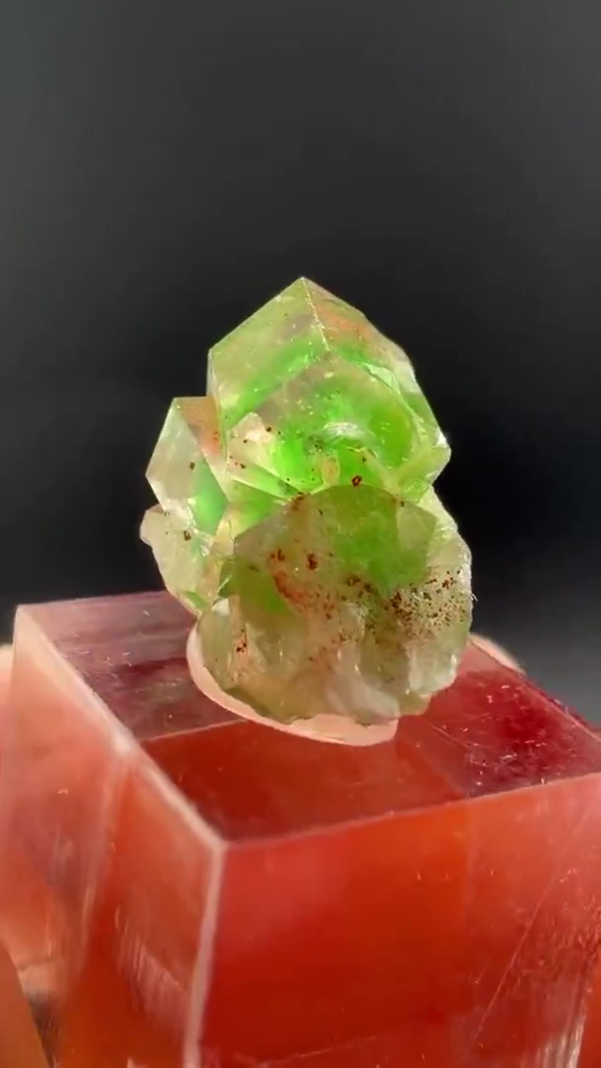 Garnet Specimen: Frog’s Eggs - view 2