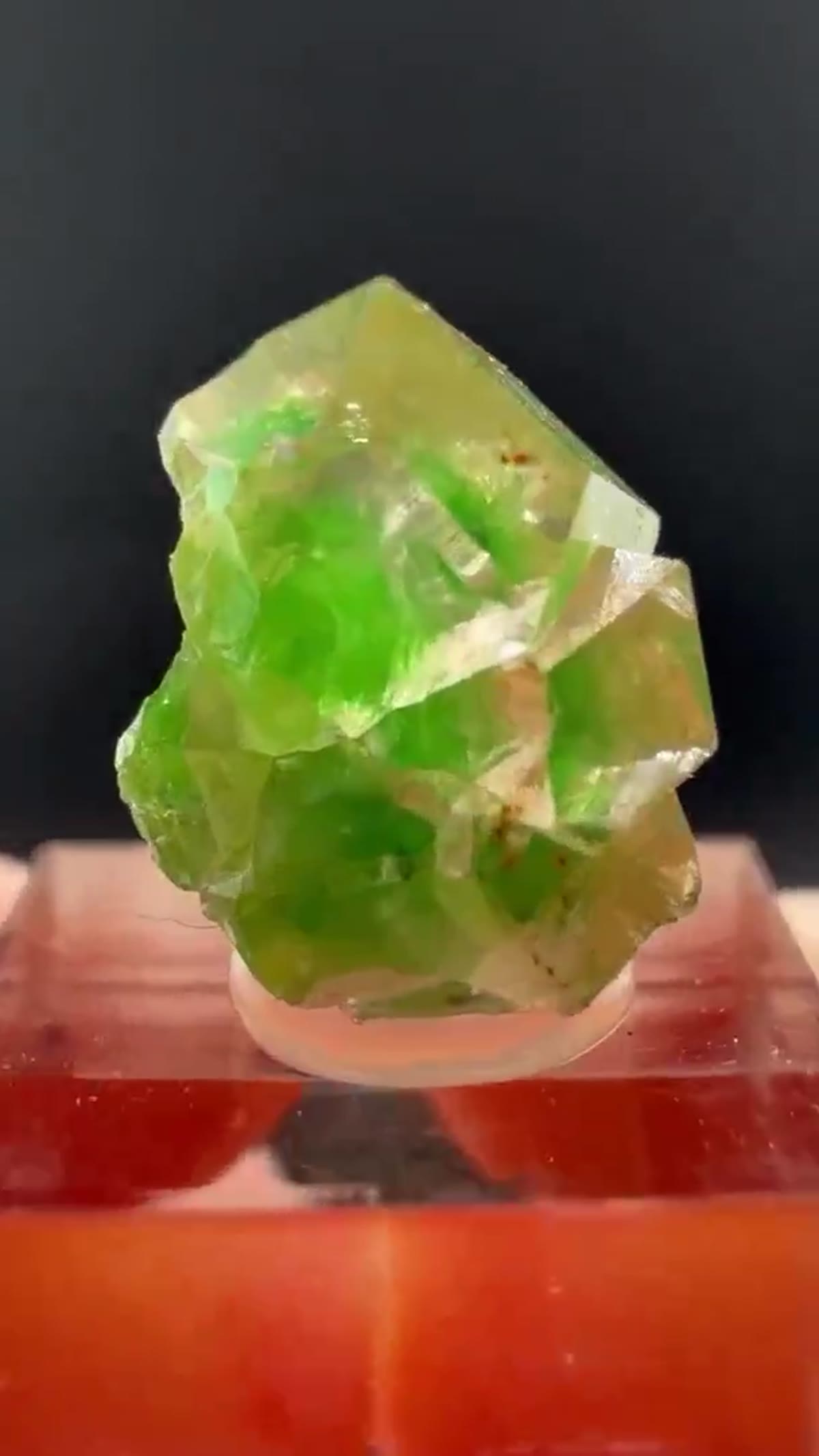 Garnet Specimen: Frog’s Eggs - view 3