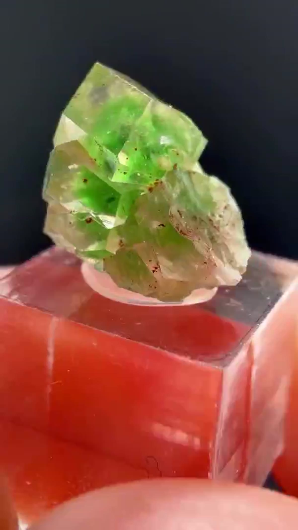 Garnet Specimen: Frog’s Eggs - view 4